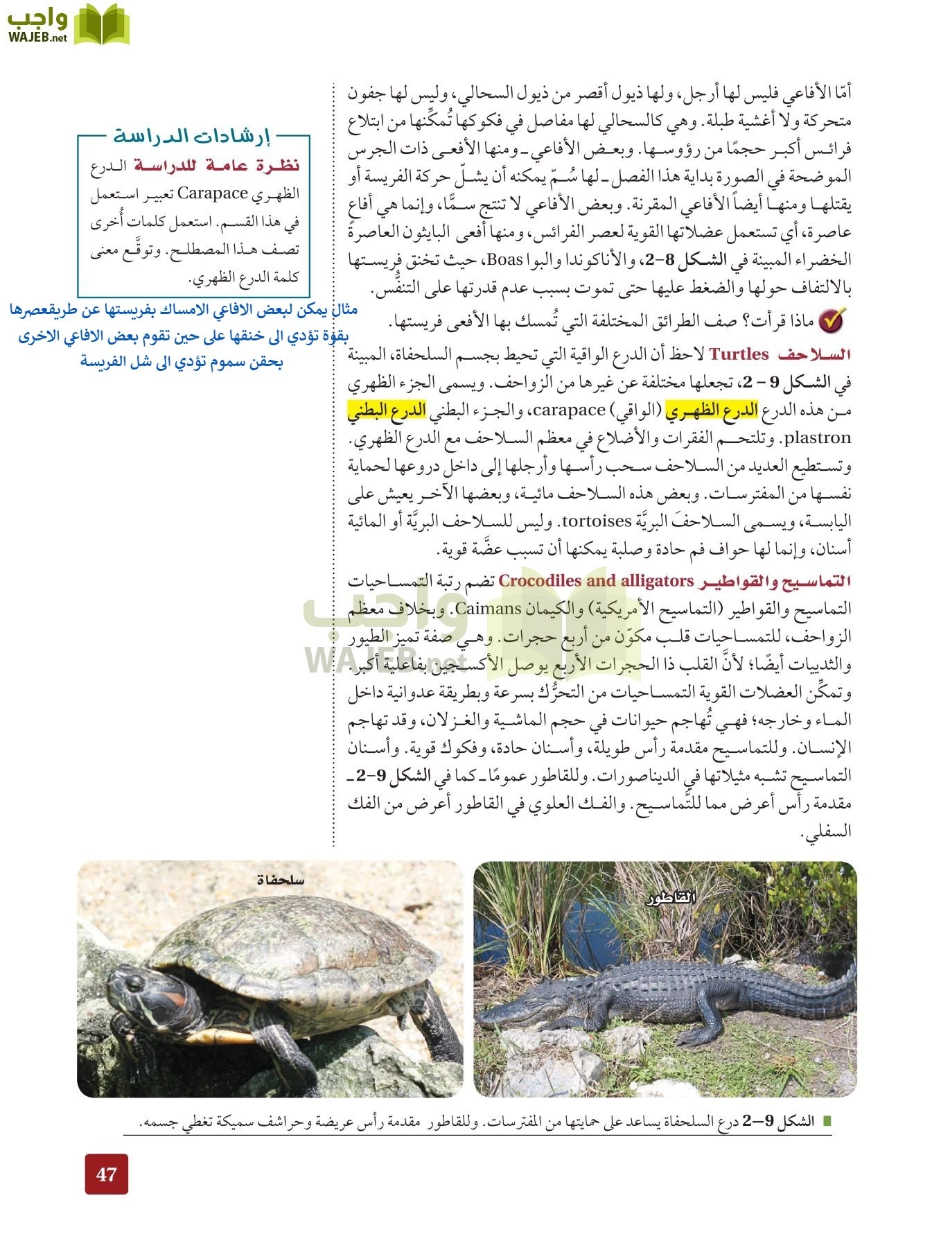 أحياء 2 مقررات page-46