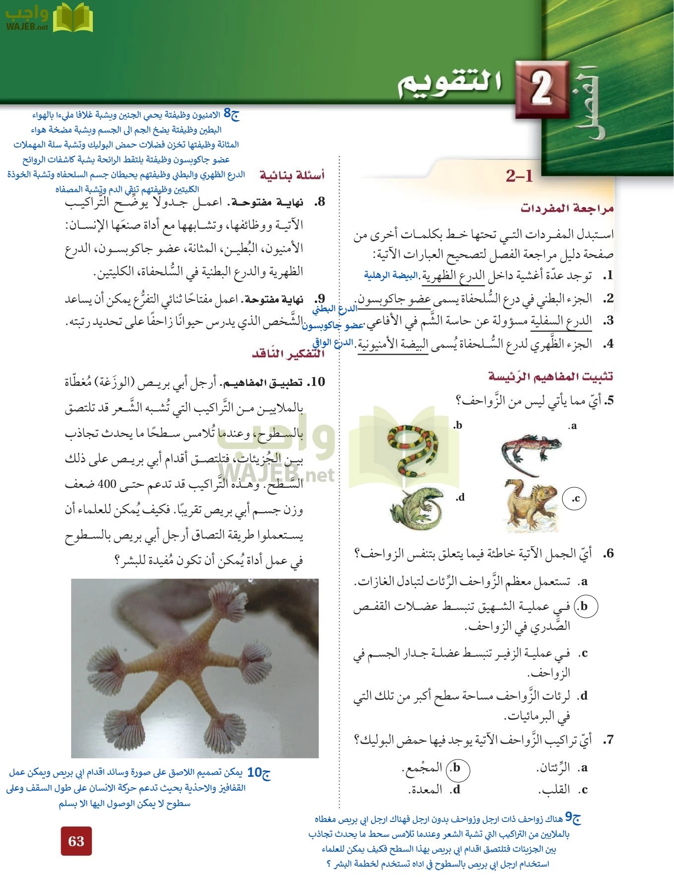 أحياء 2 مقررات page-62