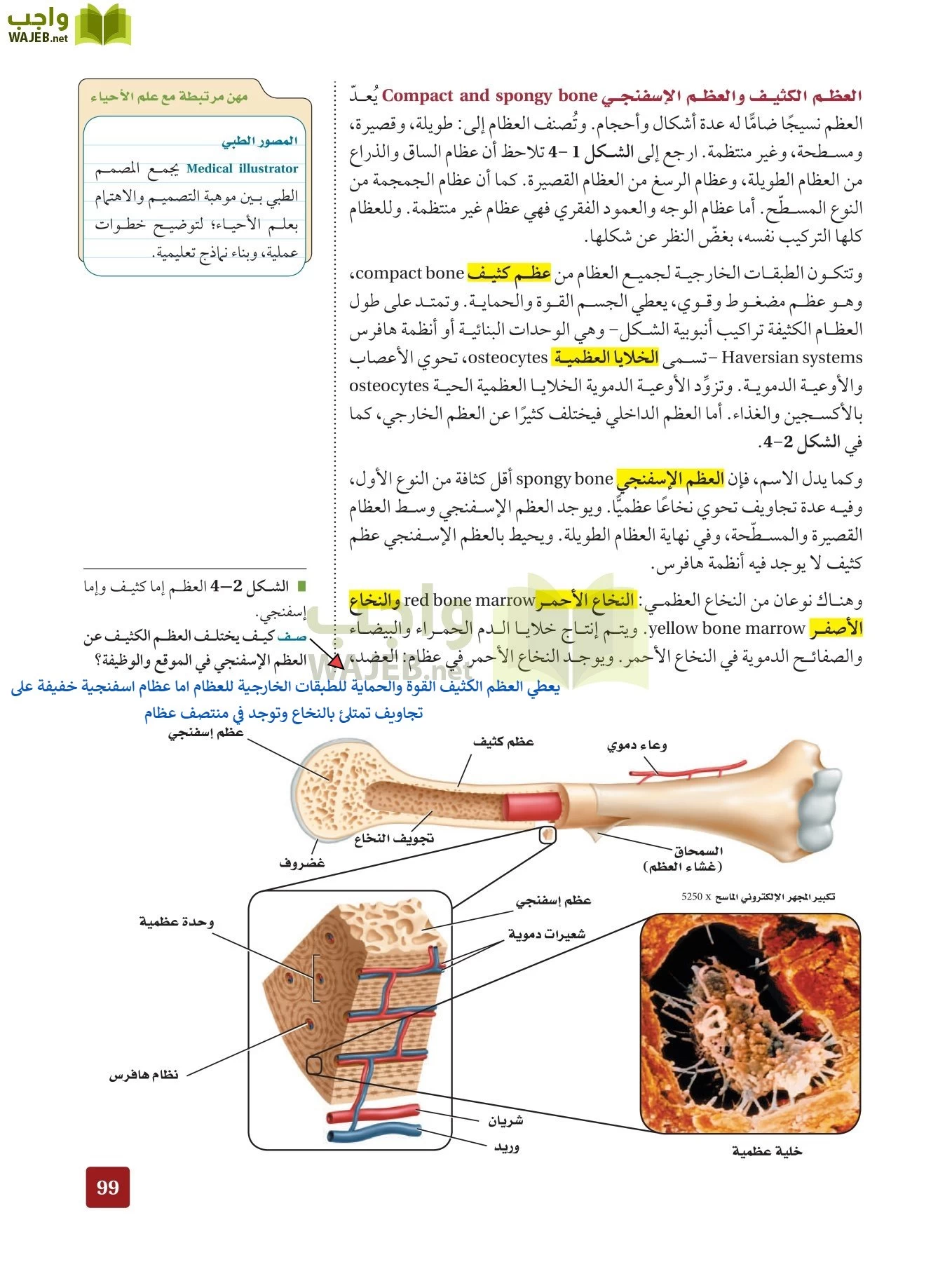 أحياء 2 مقررات page-98