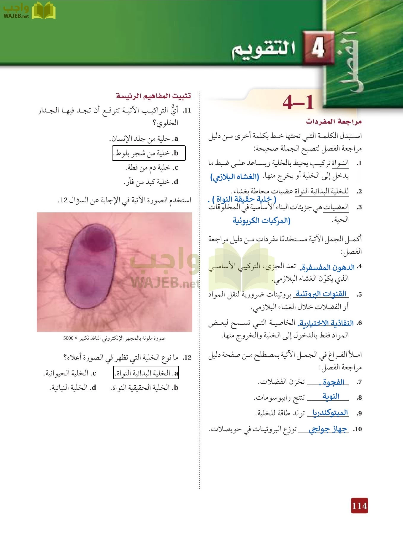 أحياء 3 مقررات page-113