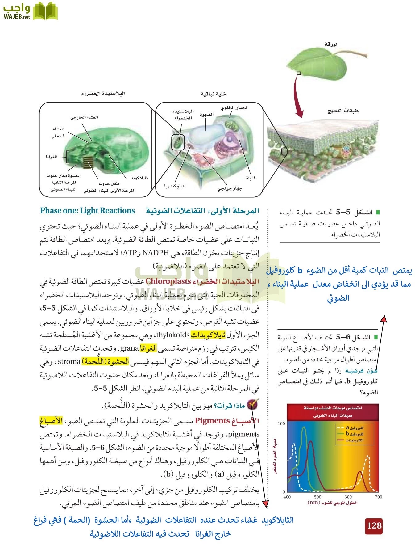 أحياء 3 مقررات page-127