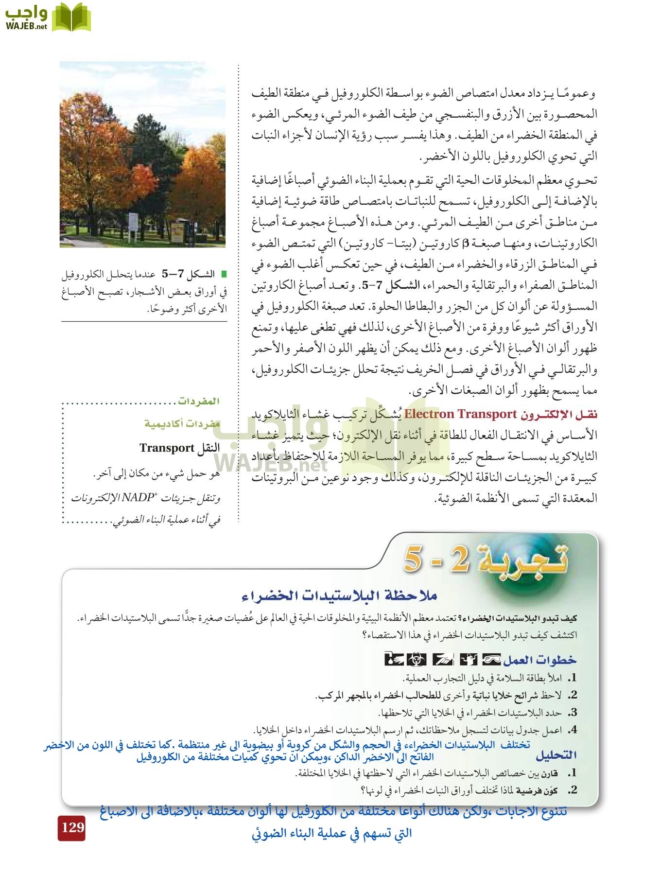 أحياء 3 مقررات page-128