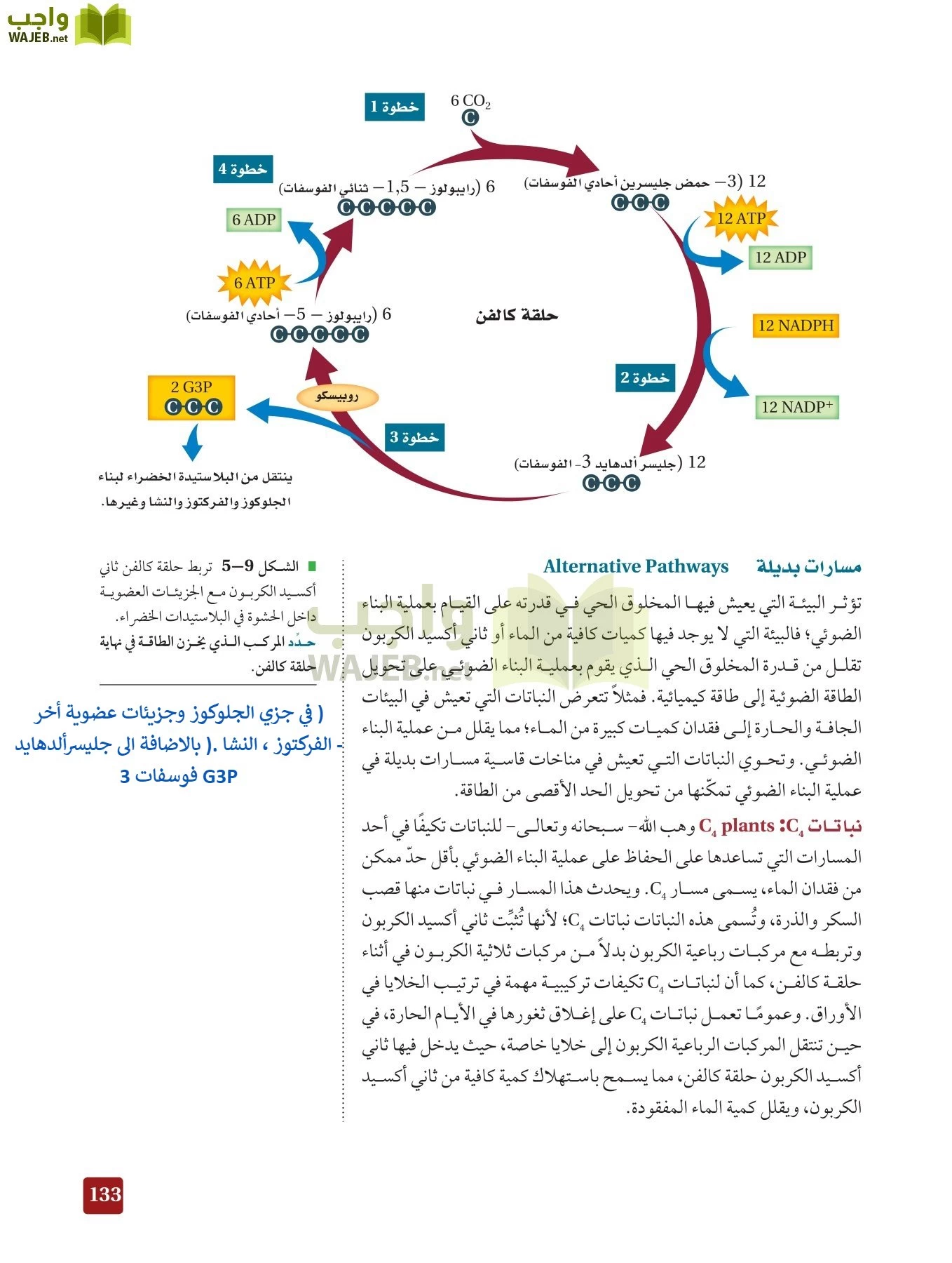 أحياء 3 مقررات page-132