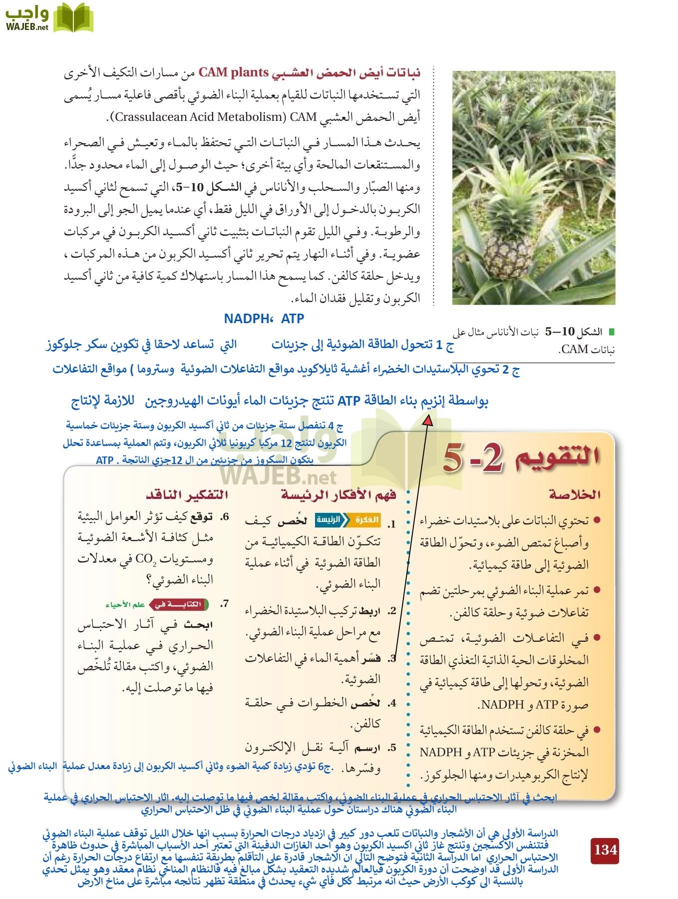 أحياء 3 مقررات page-133