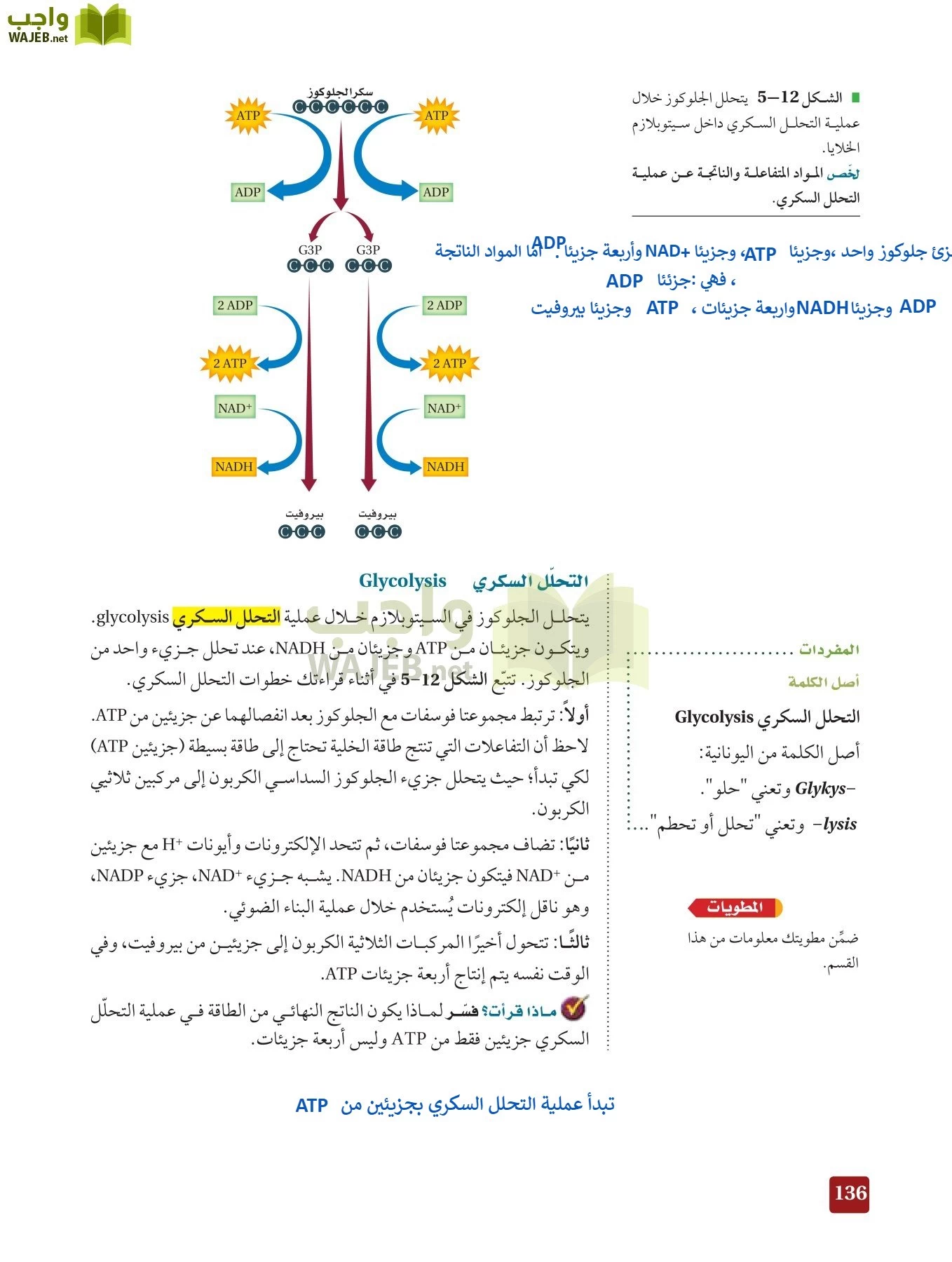 أحياء 3 مقررات page-135