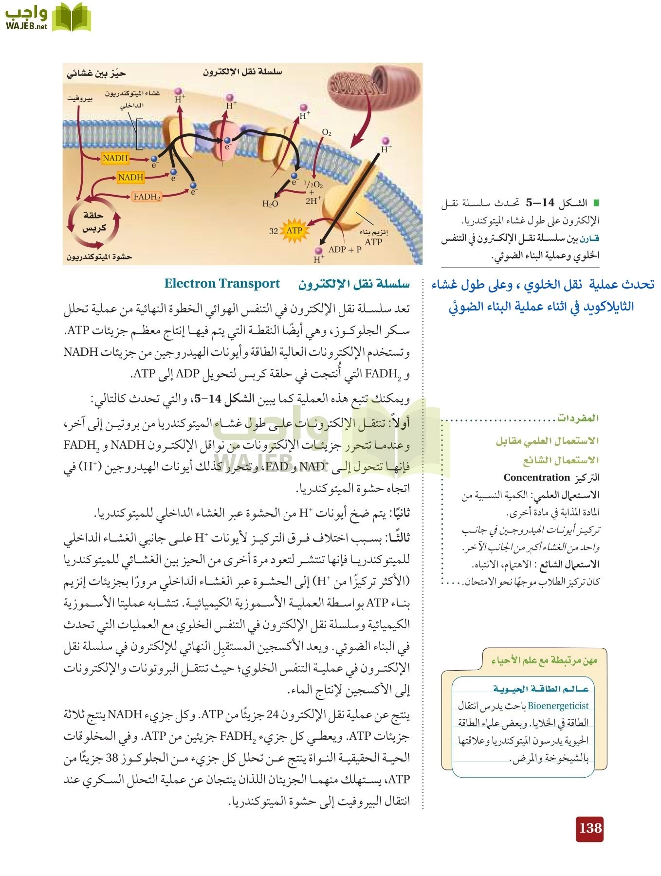 أحياء 3 مقررات page-137