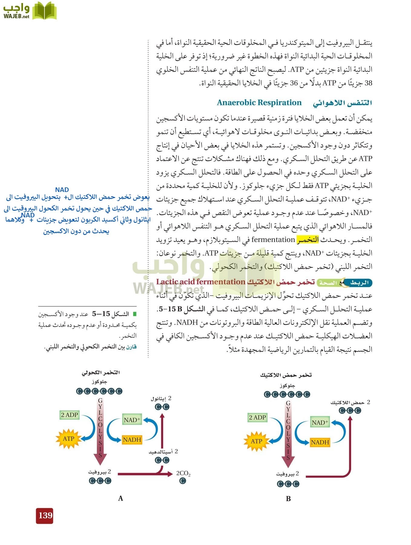 أحياء 3 مقررات page-138