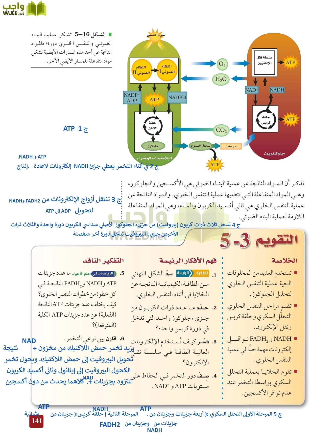 أحياء 3 مقررات page-140