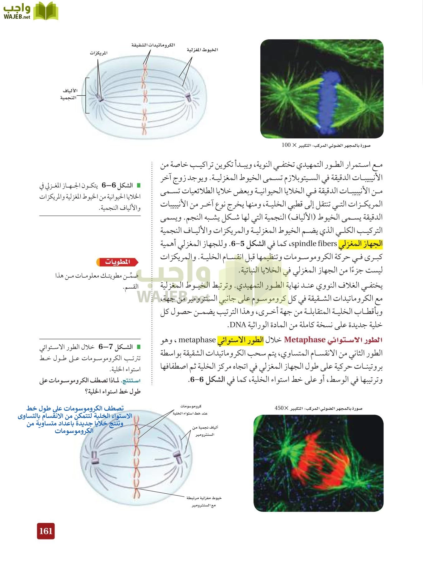 أحياء 3 مقررات page-160