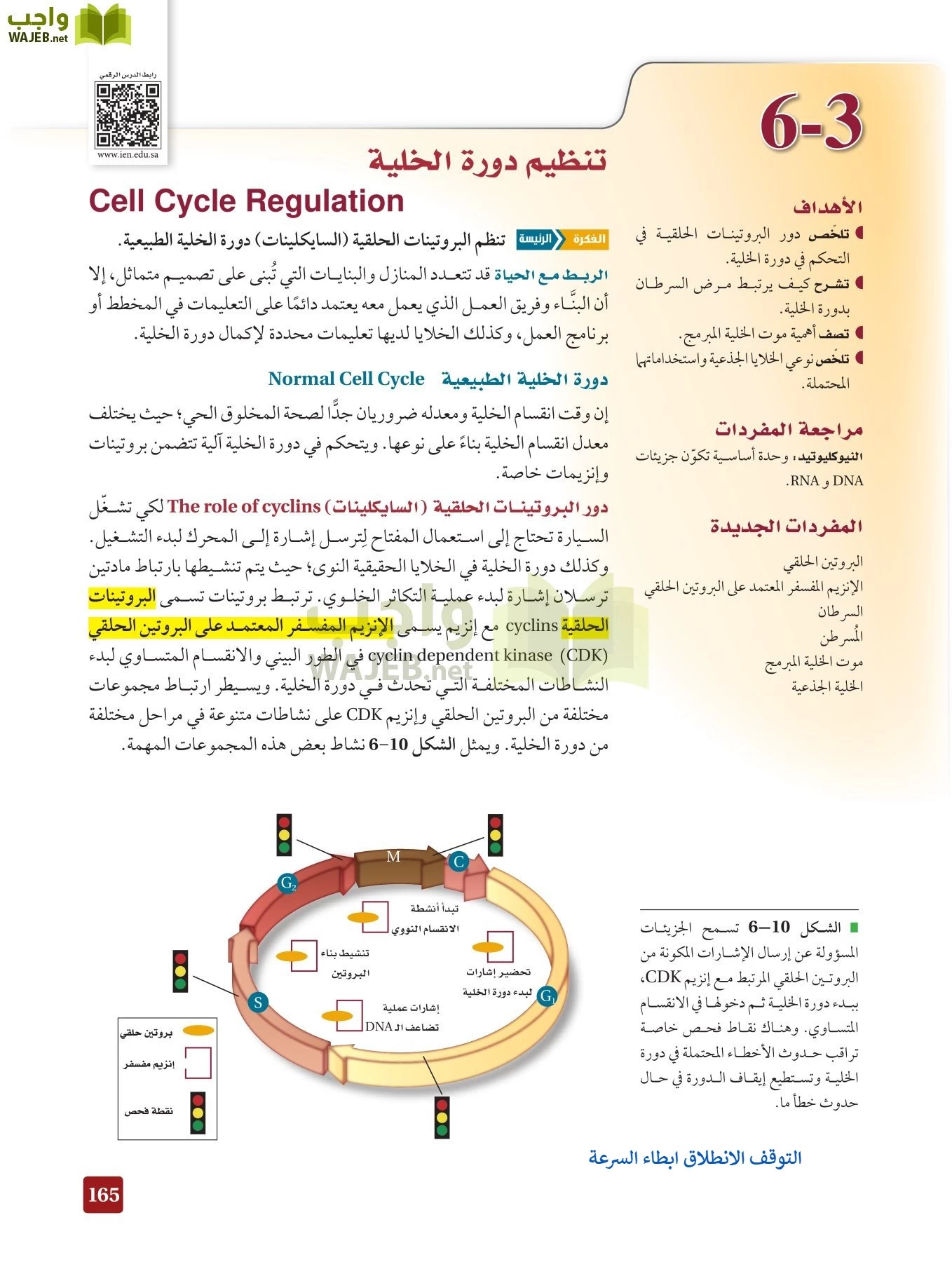 أحياء 3 مقررات page-164