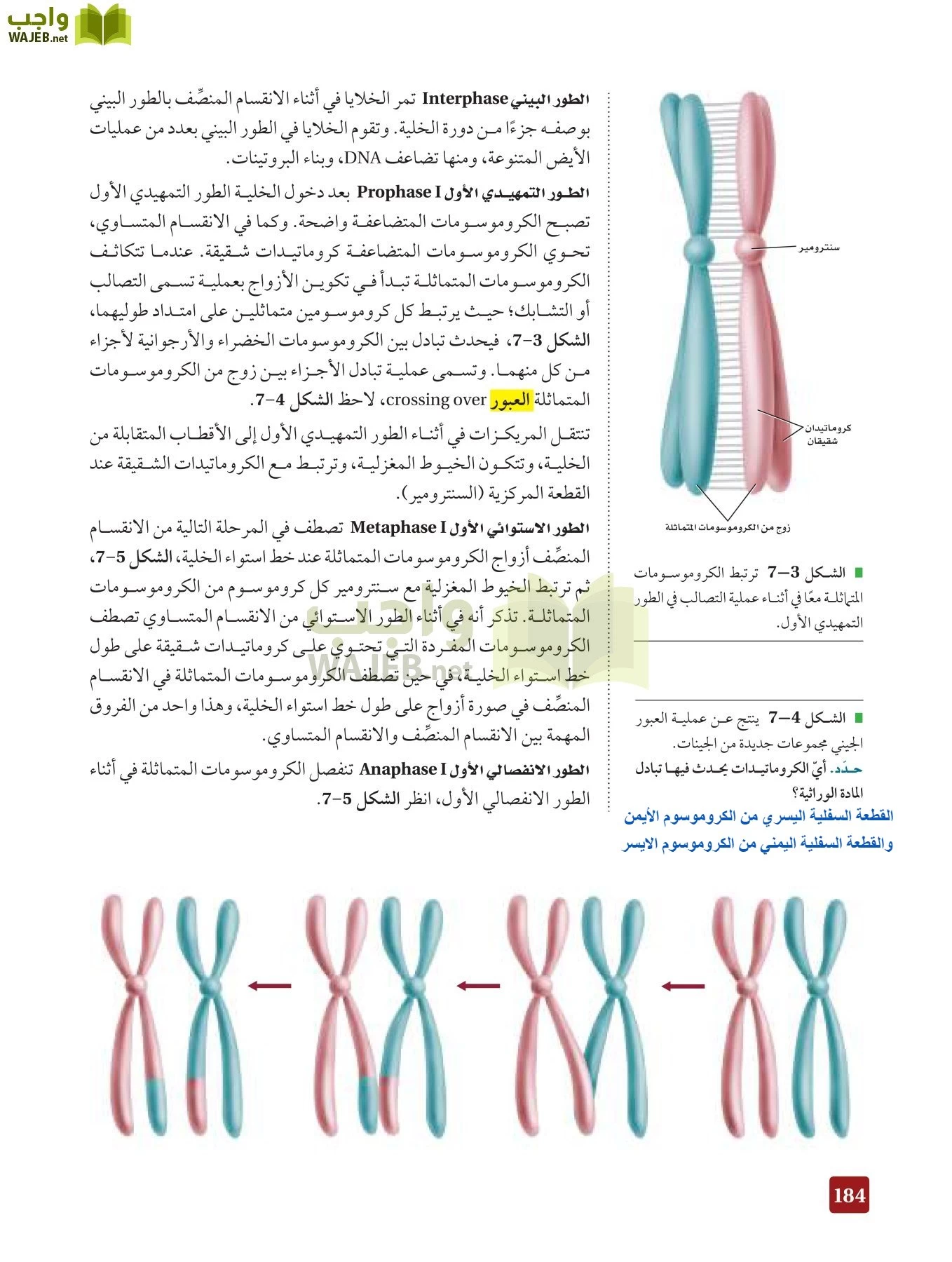 أحياء 3 مقررات page-183