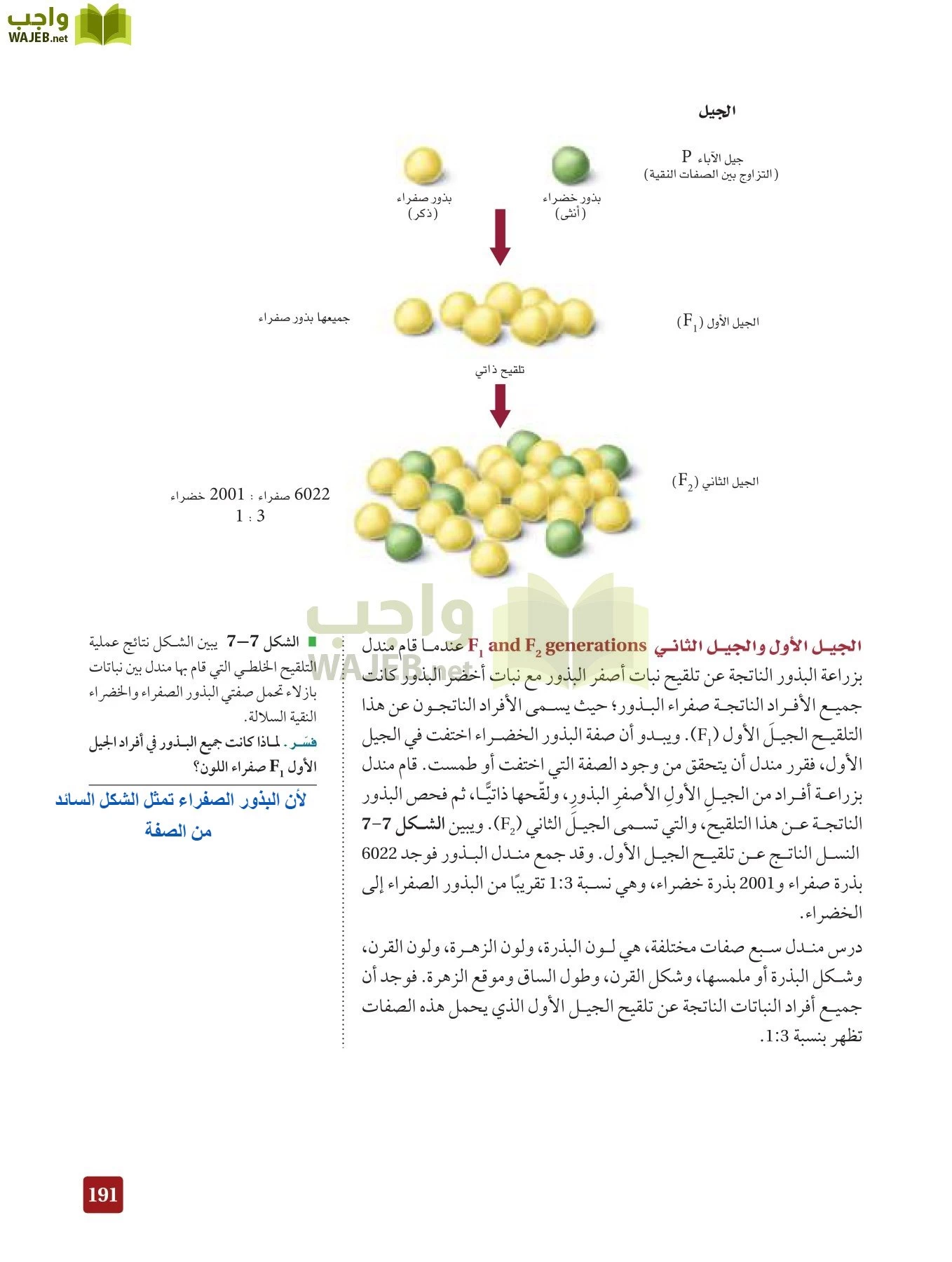 أحياء 3 مقررات page-190