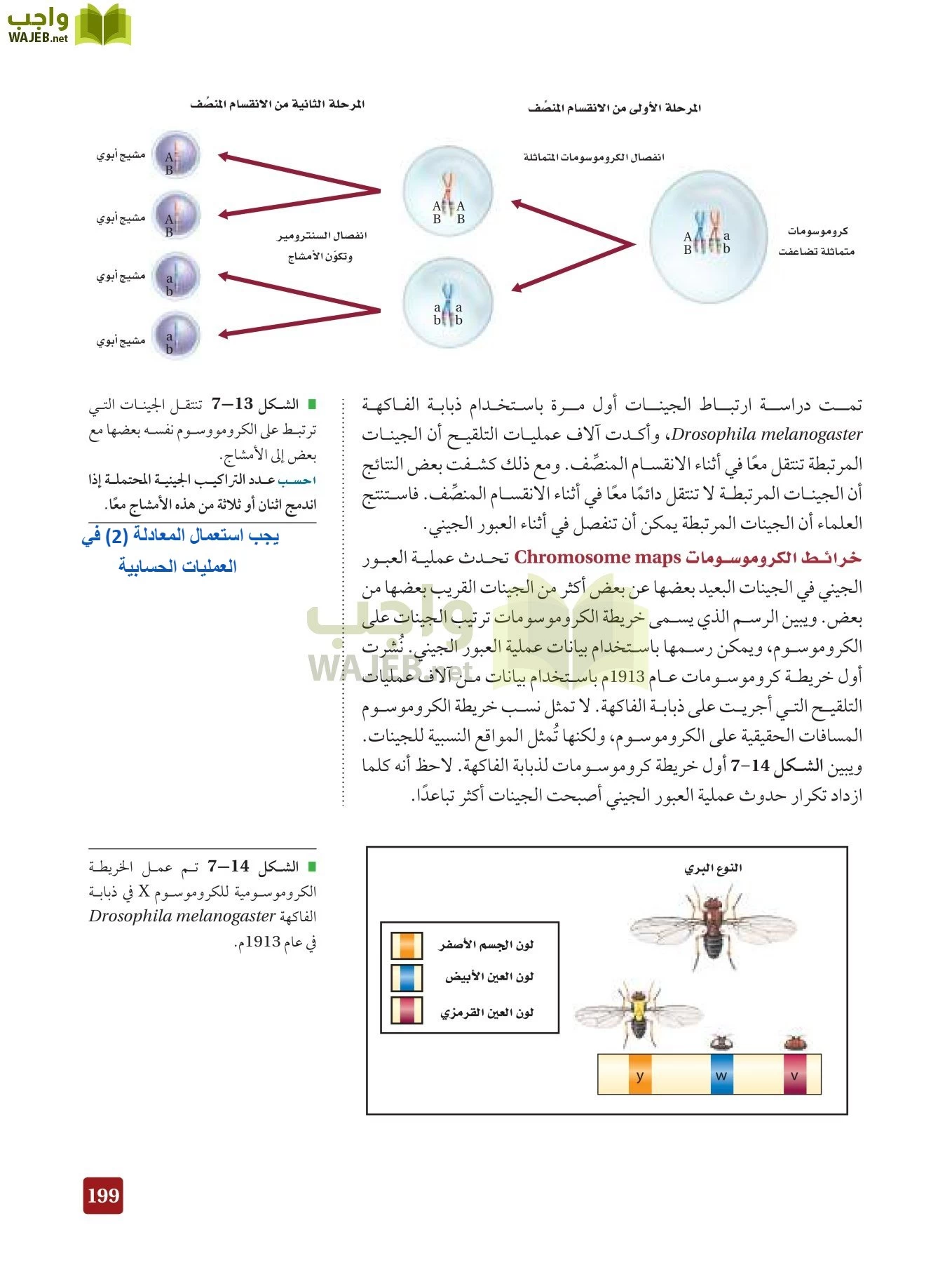 أحياء 3 مقررات page-198