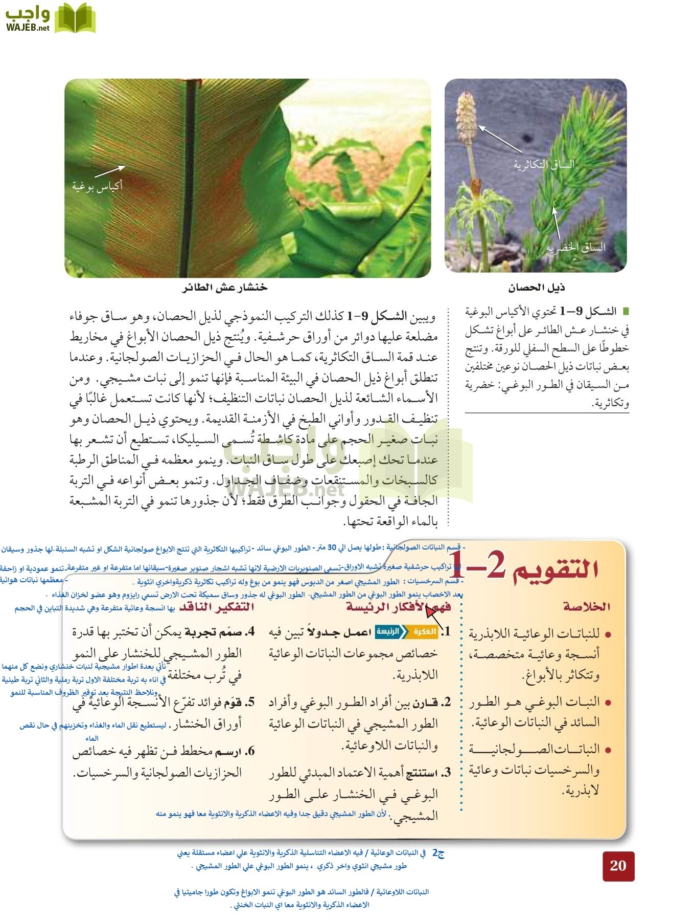 أحياء 3 مقررات page-19