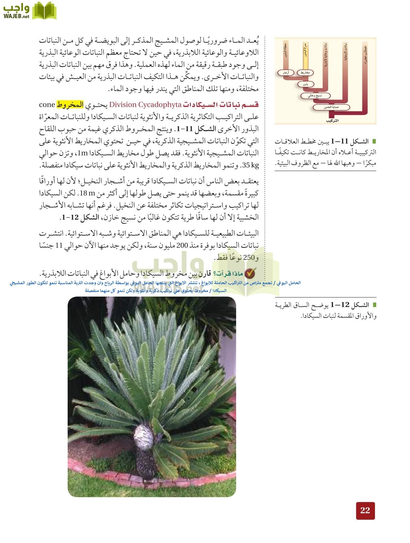 أحياء 3 مقررات page-21