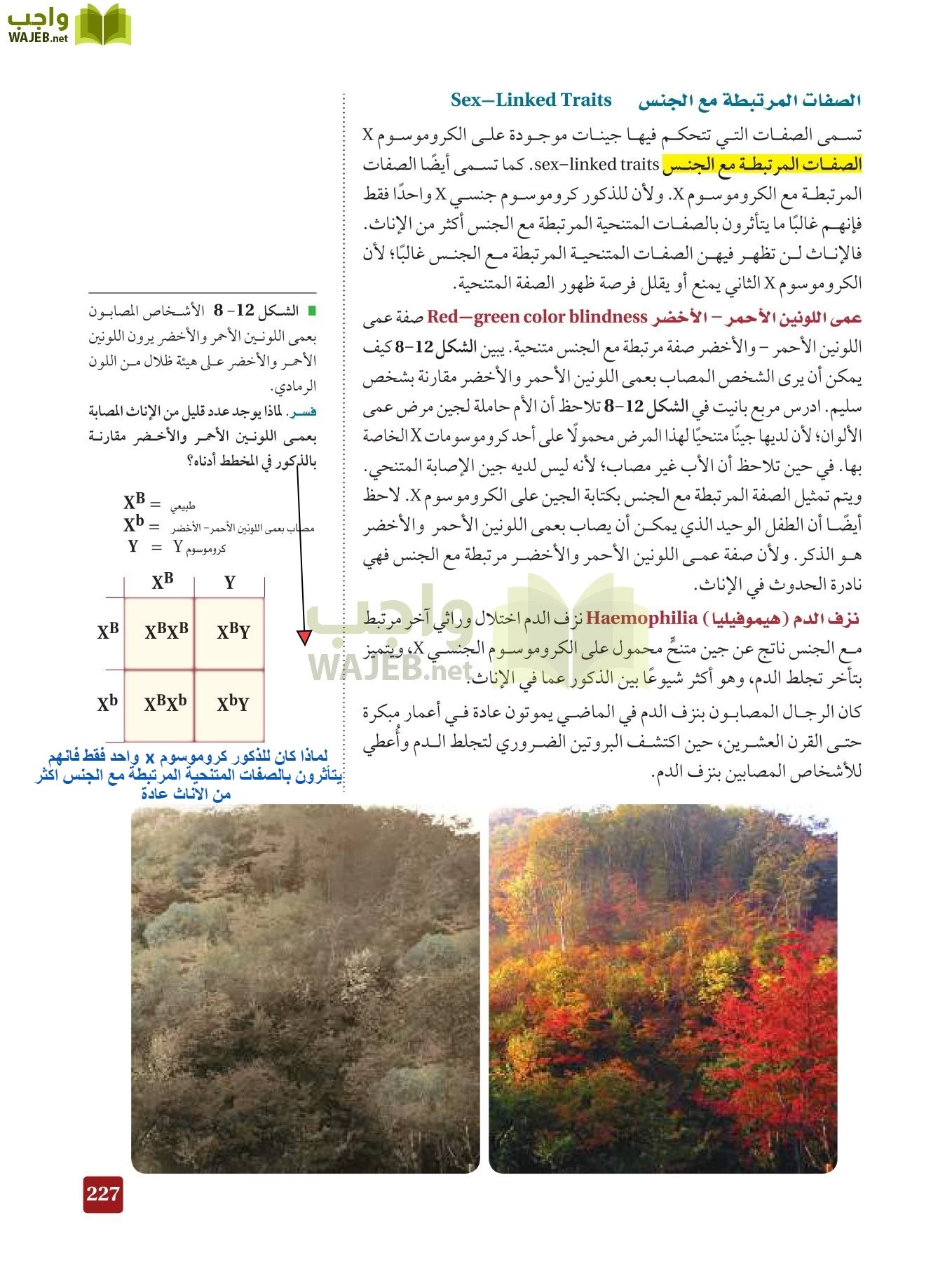 أحياء 3 مقررات page-226