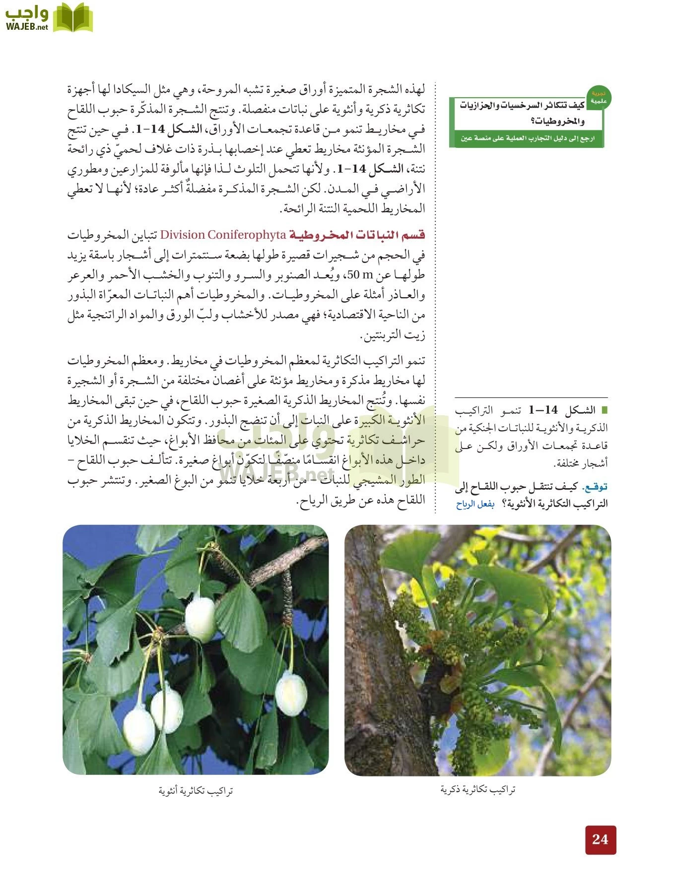 أحياء 3 مقررات page-23