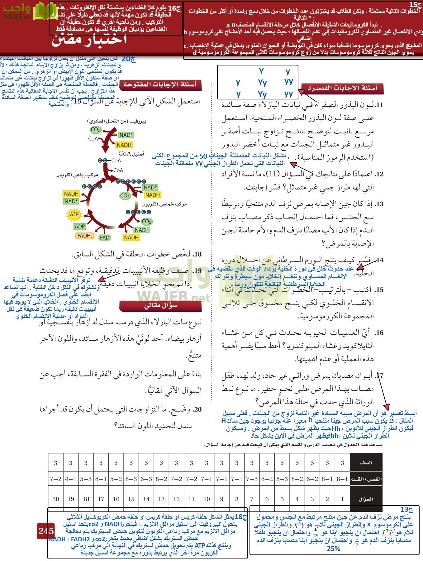 أحياء 3 مقررات page-244