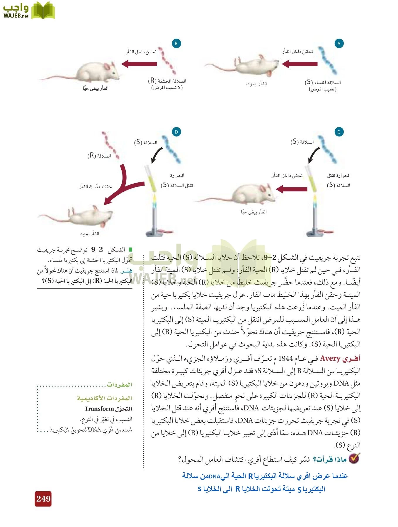 أحياء 3 مقررات page-248