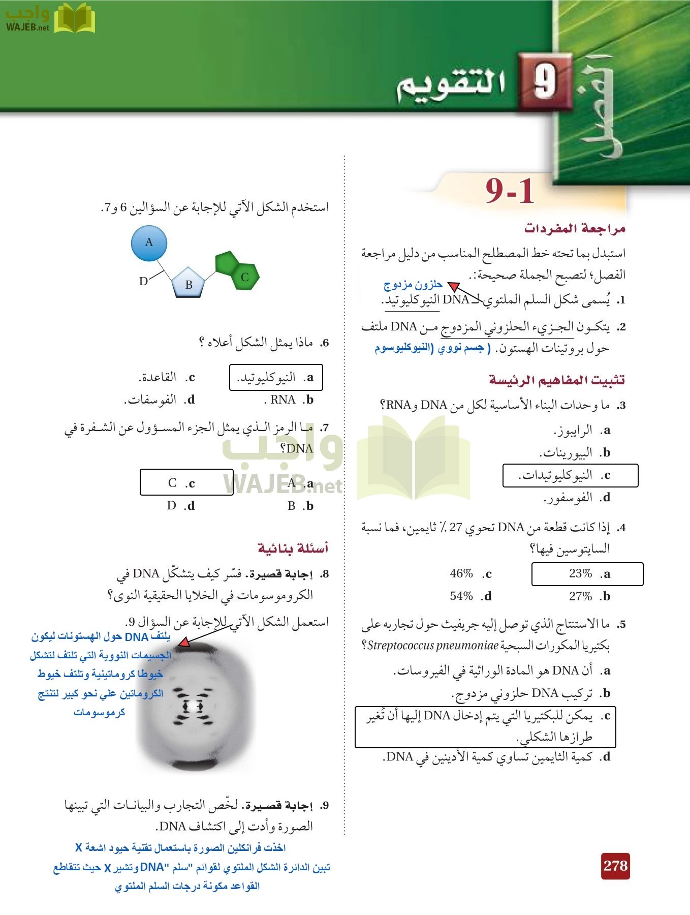 أحياء 3 مقررات page-277