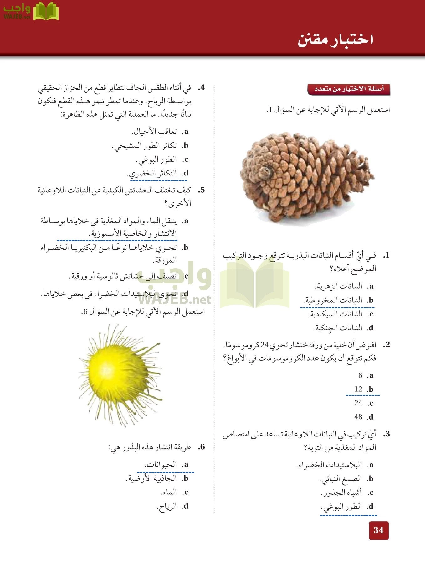 أحياء 3 مقررات page-33