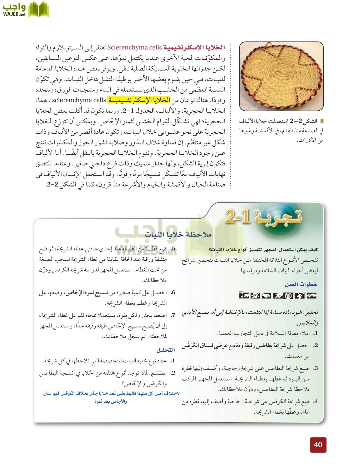 أحياء 3 مقررات page-39