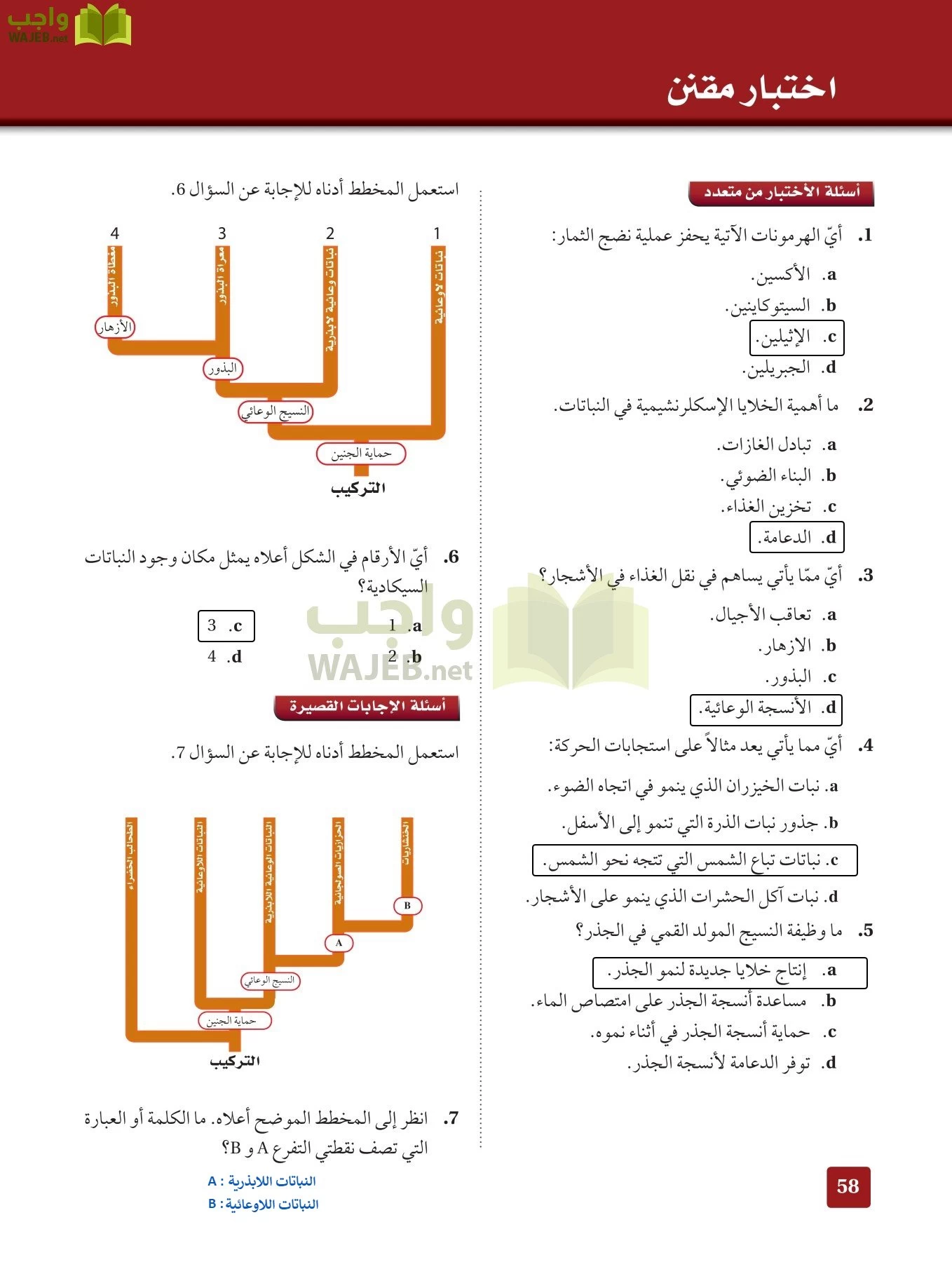 أحياء 3 مقررات page-57