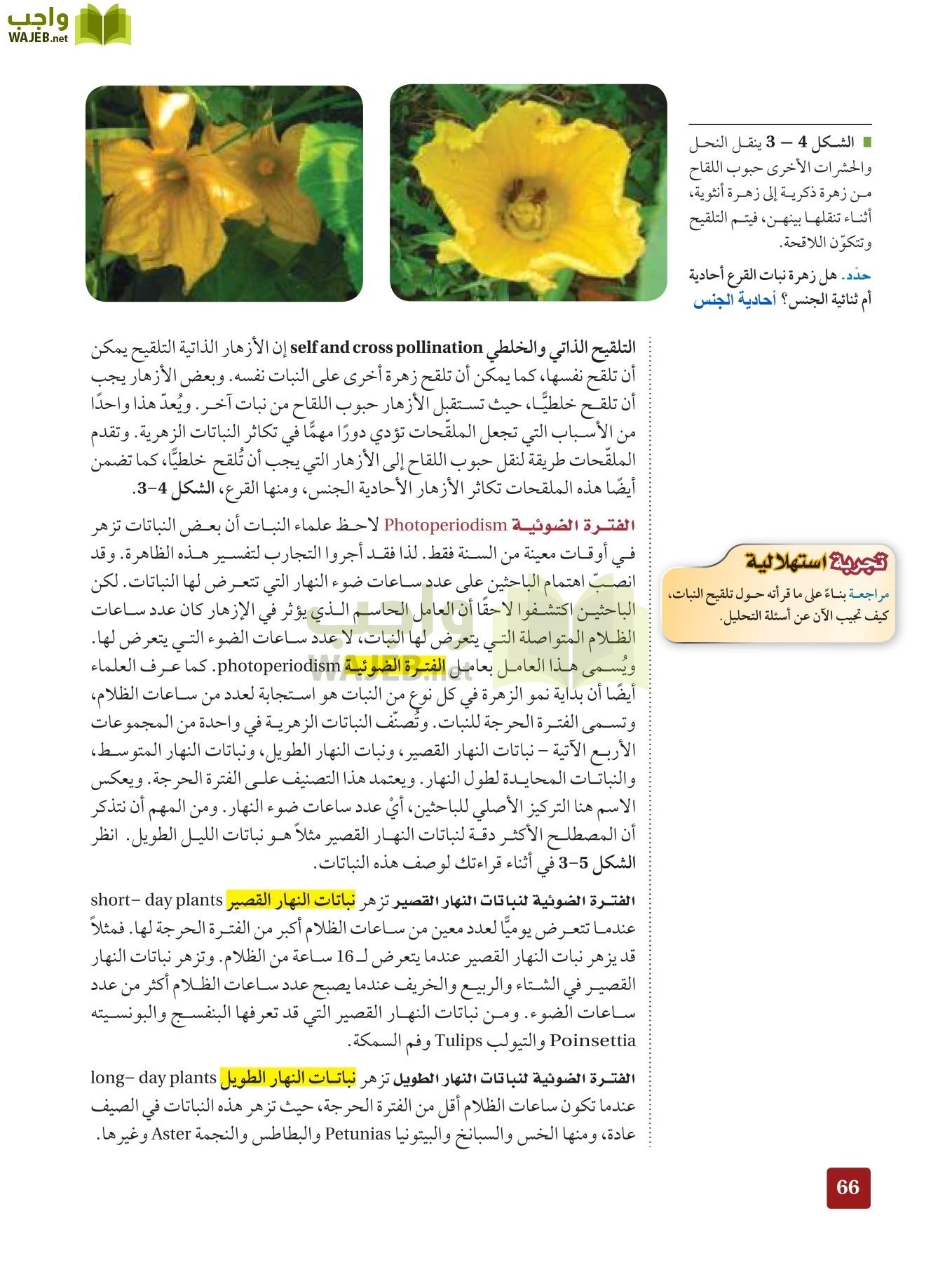 أحياء 3 مقررات page-65