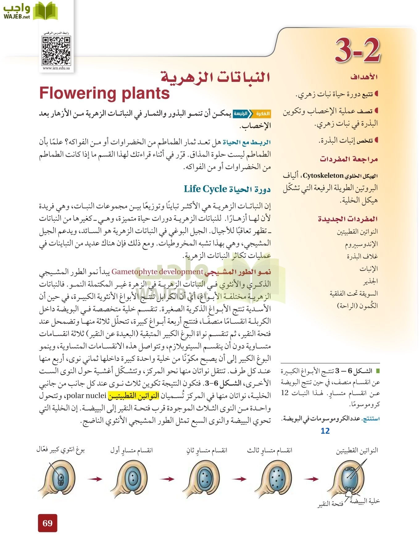 أحياء 3 مقررات page-68