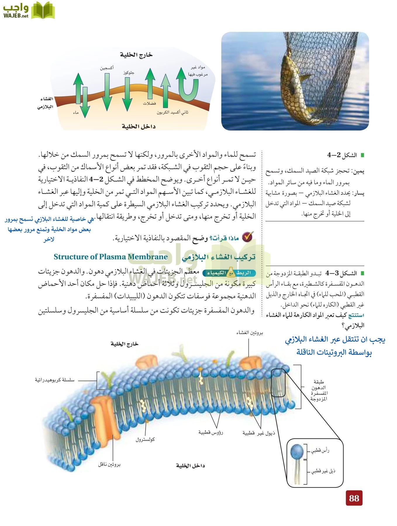 أحياء 3 مقررات page-87