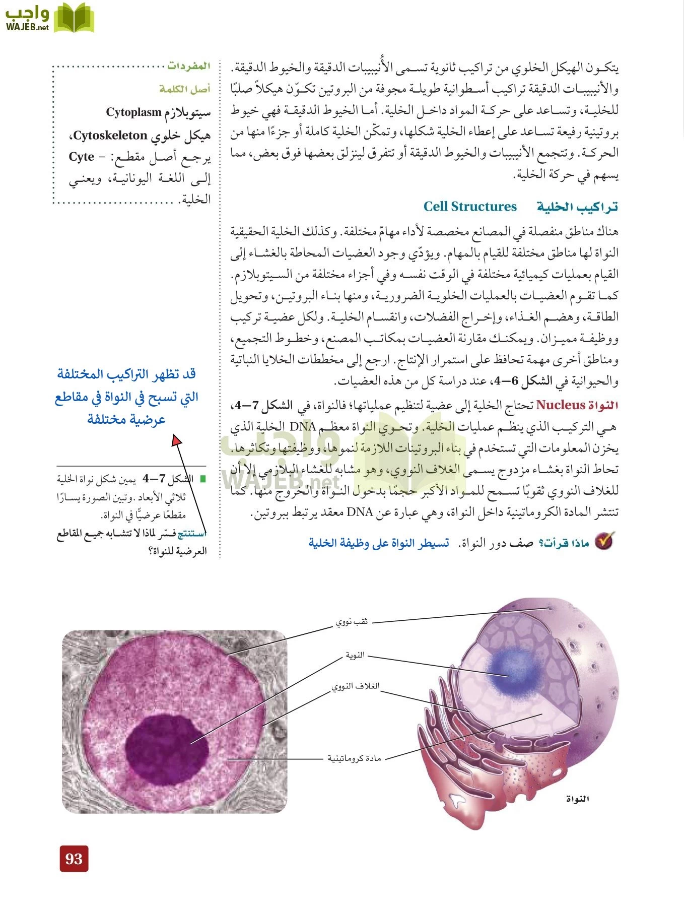 أحياء 3 مقررات page-92