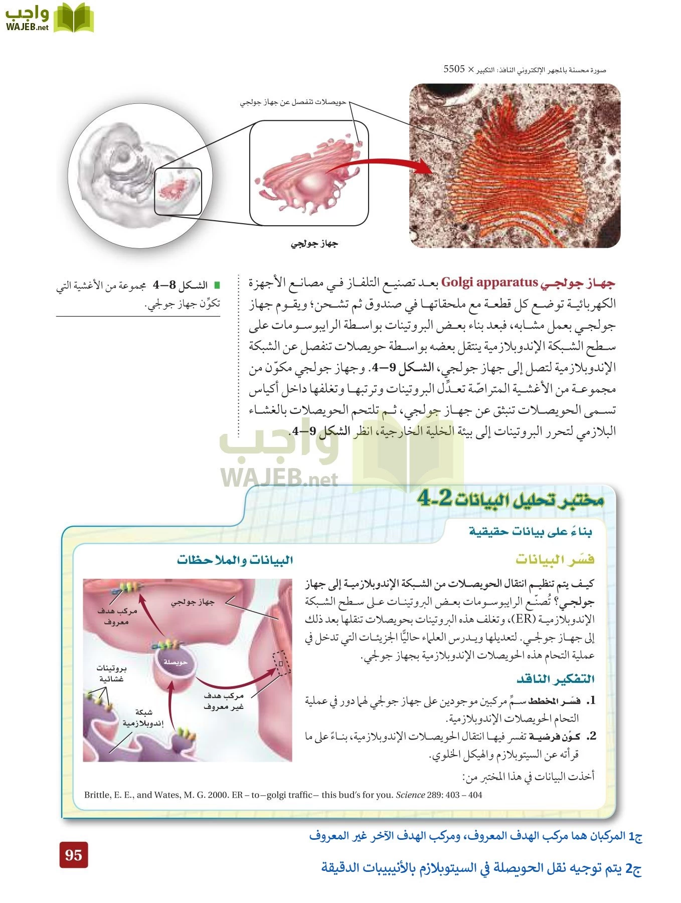 أحياء 3 مقررات page-94