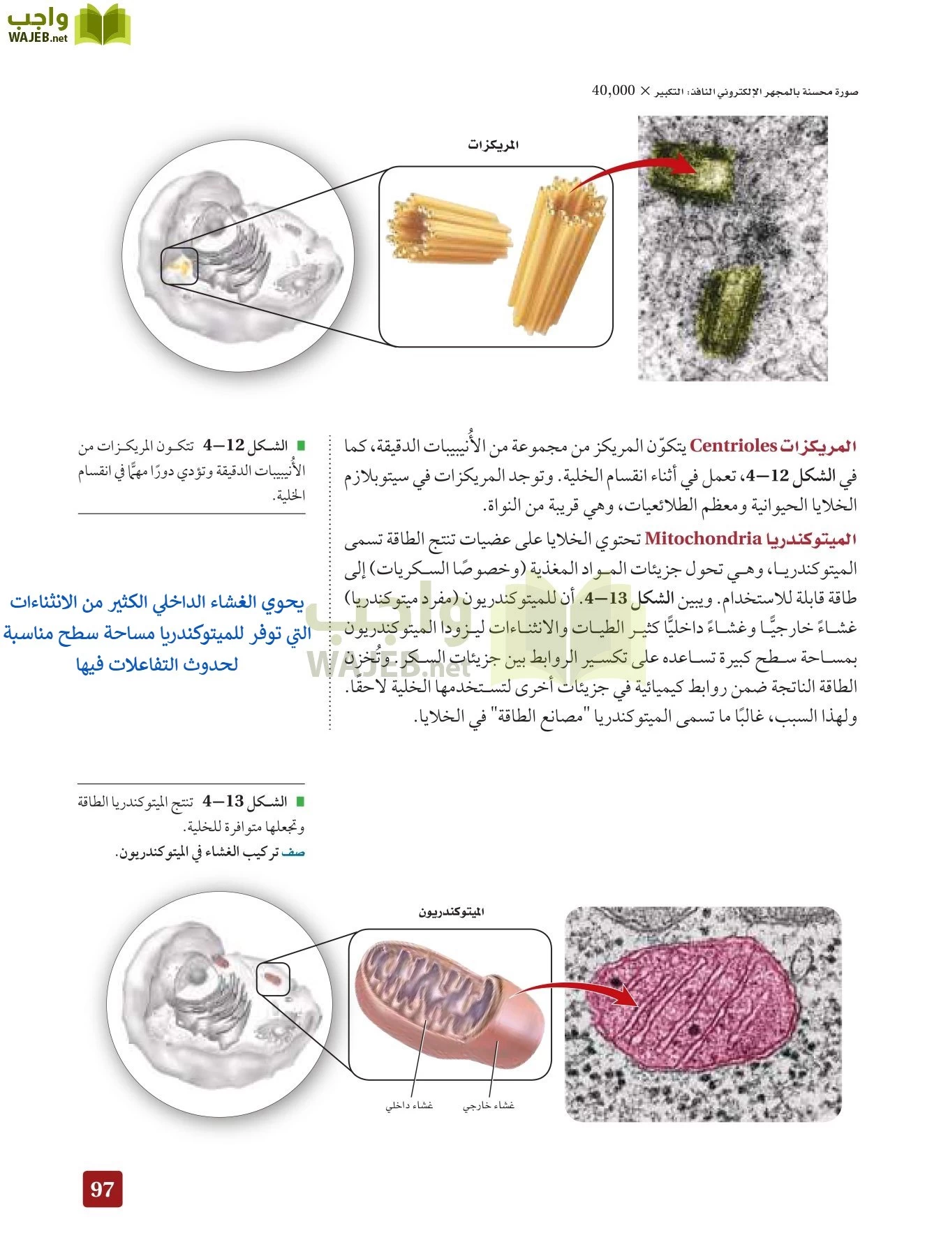 أحياء 3 مقررات page-96