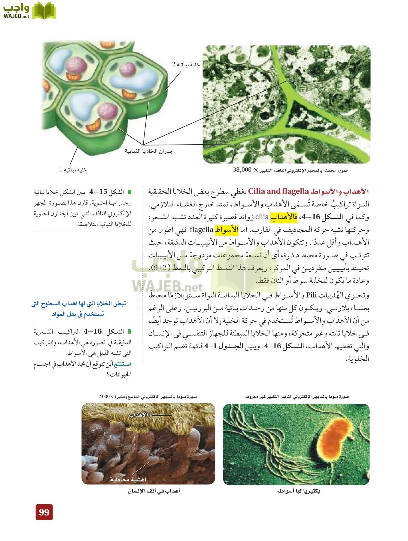 أحياء 3 مقررات page-98