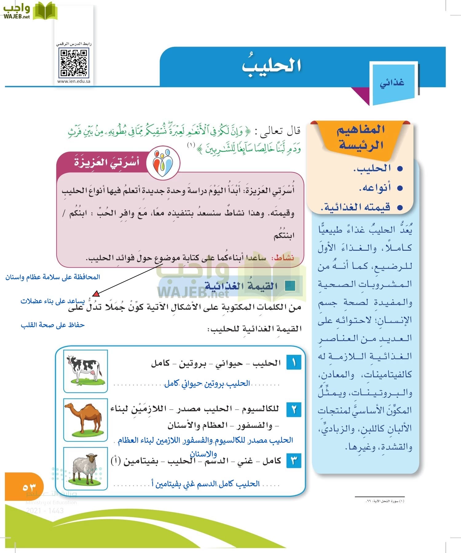 المهارات الحياتية والأسرية page-52