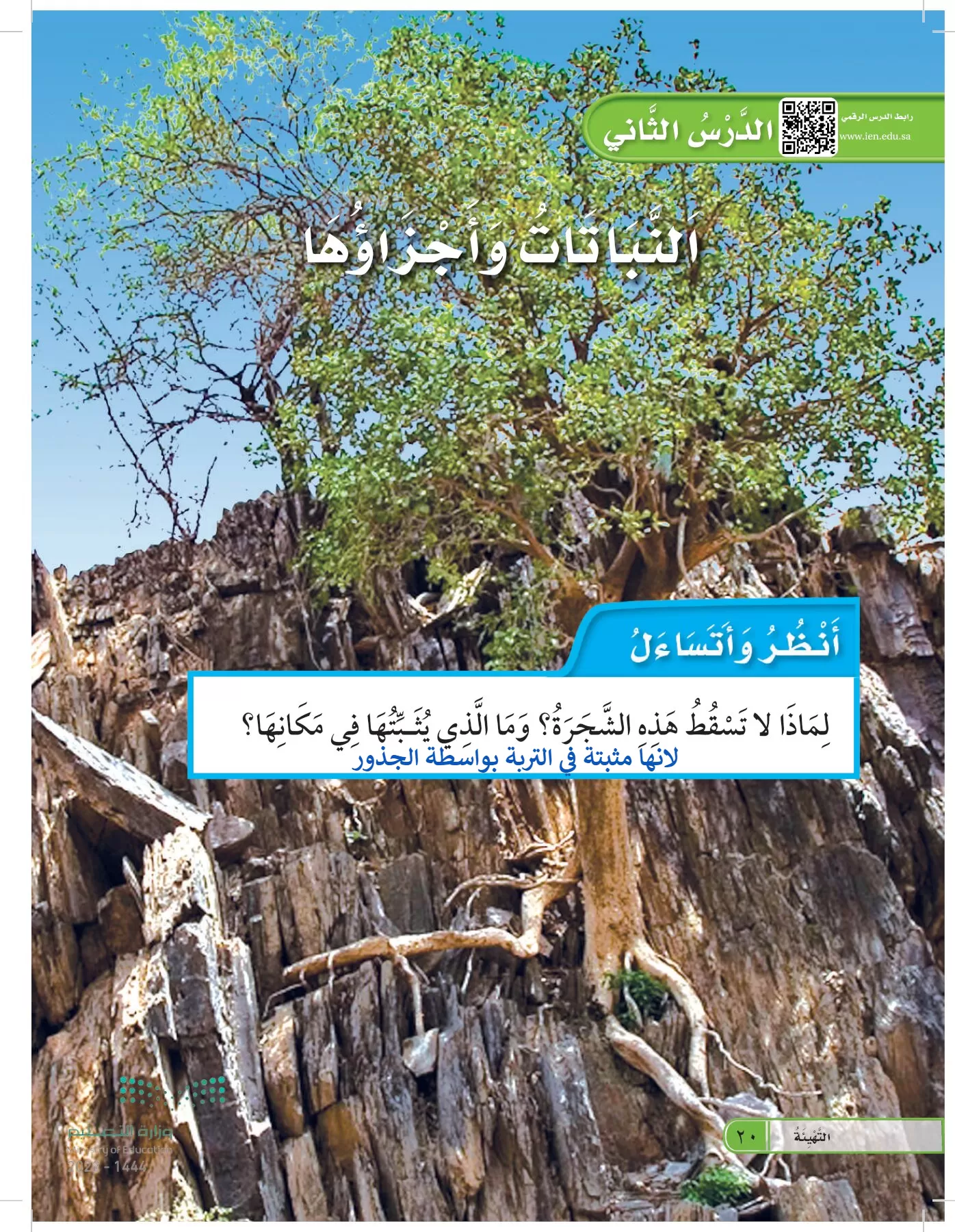 العلوم page-19