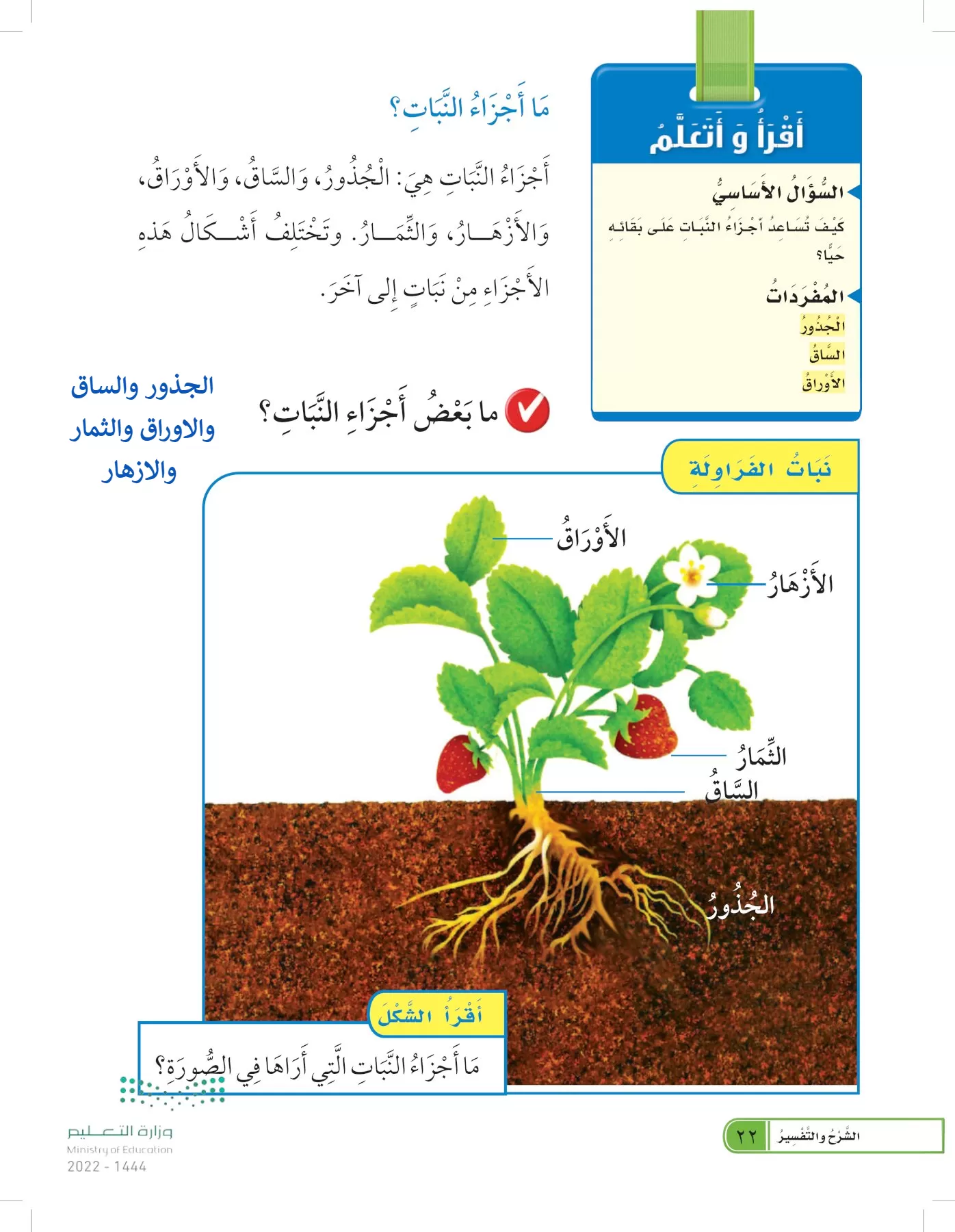 العلوم page-21