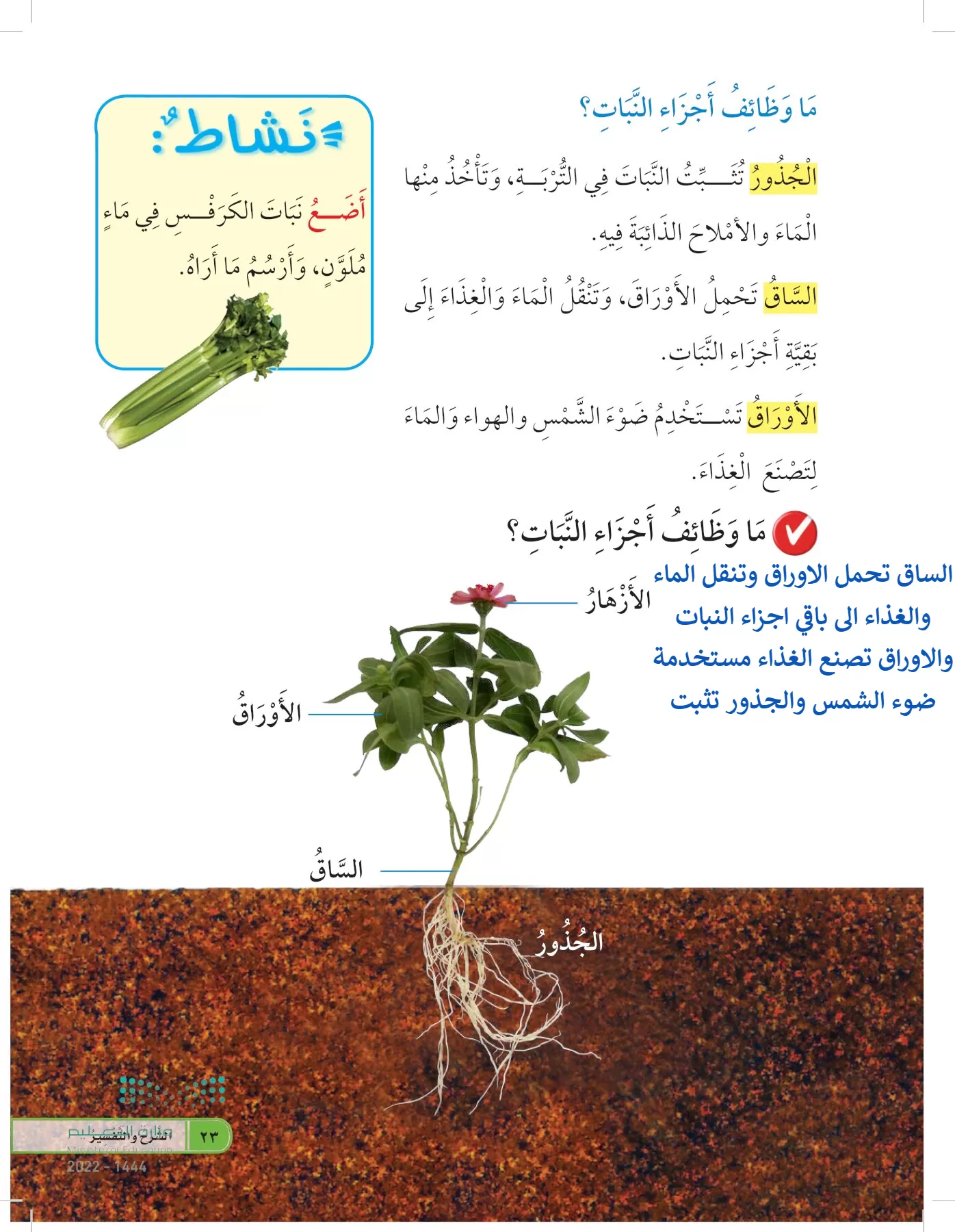 العلوم page-22