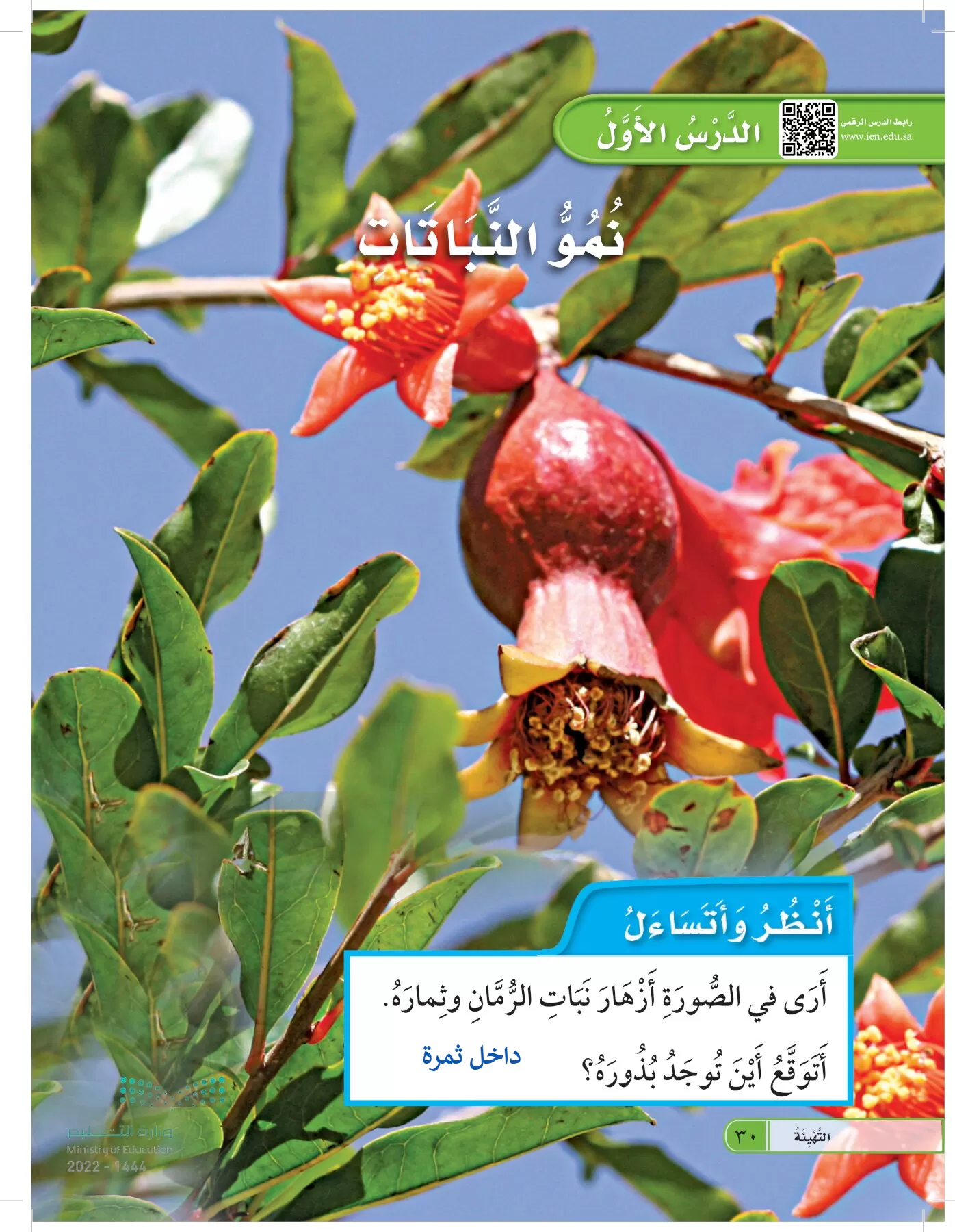 العلوم page-29