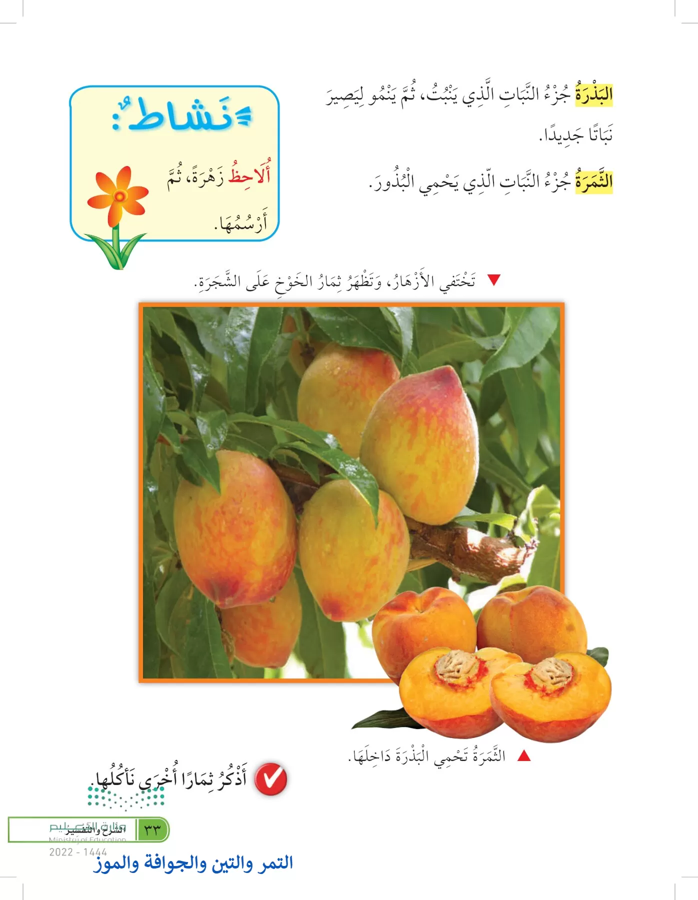 العلوم page-32