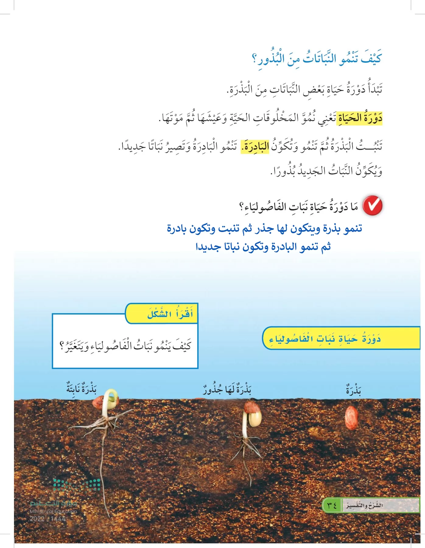 العلوم page-33