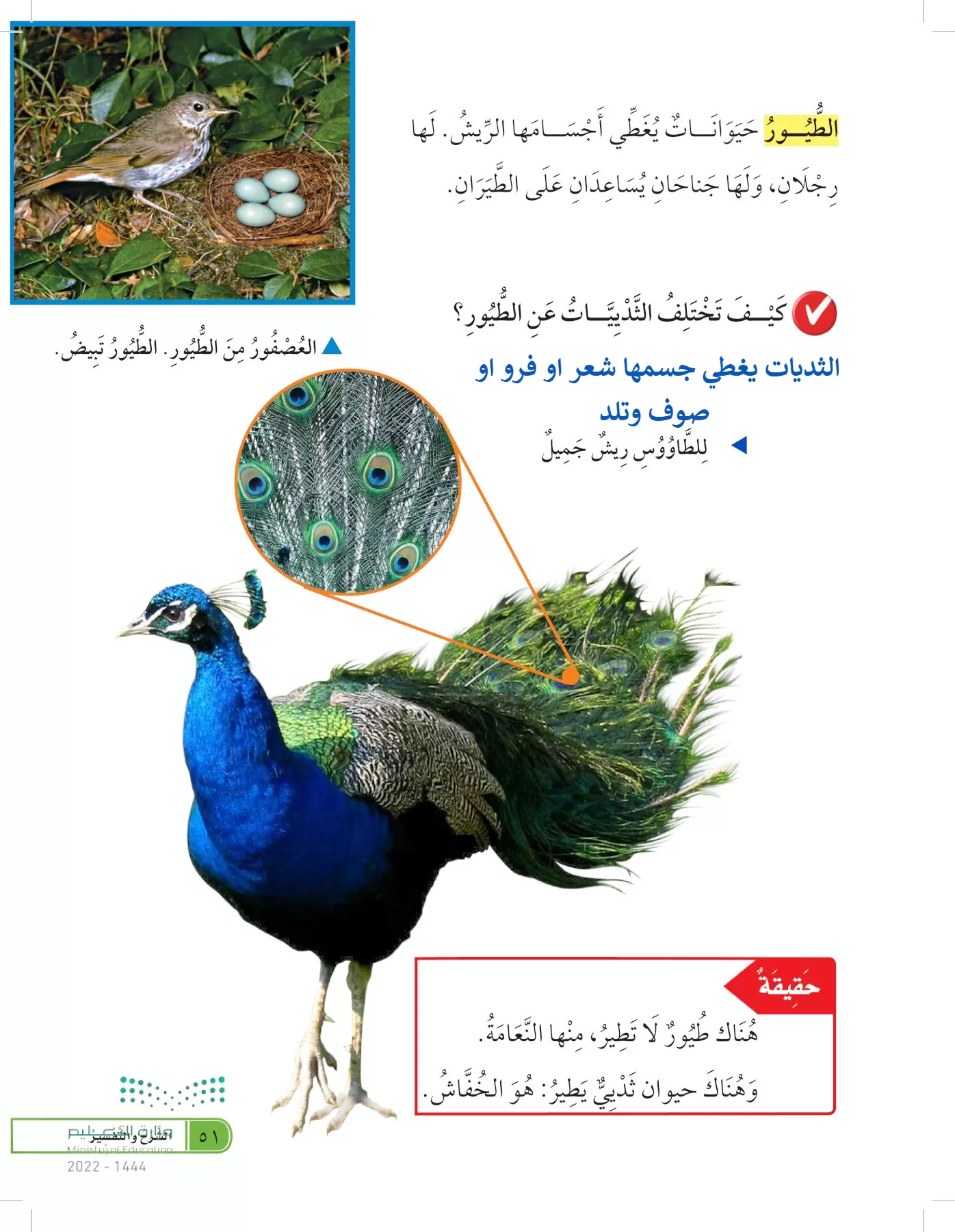 العلوم page-50