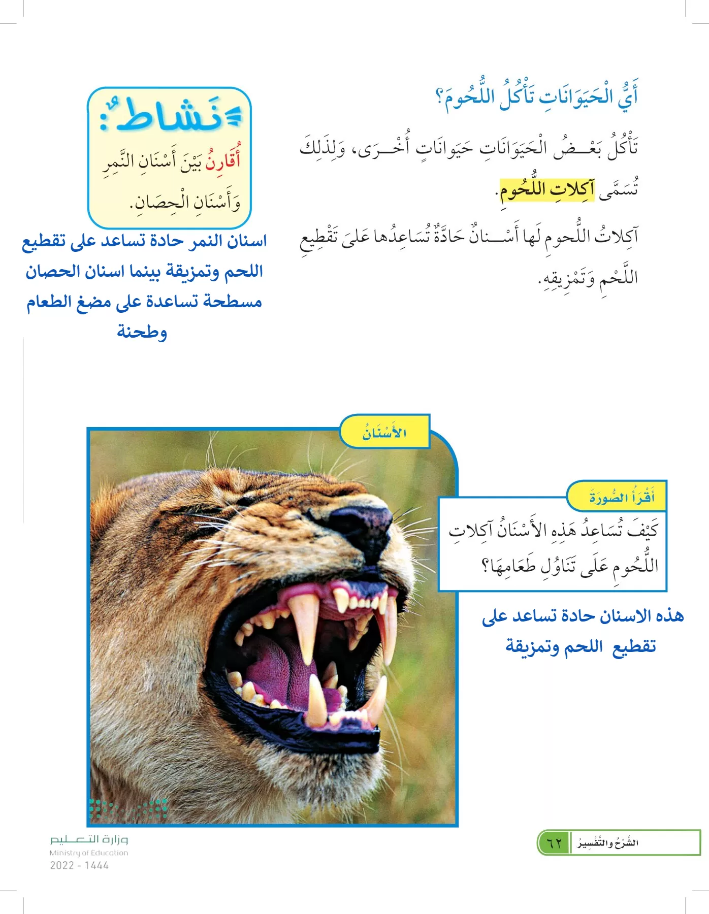 العلوم page-61