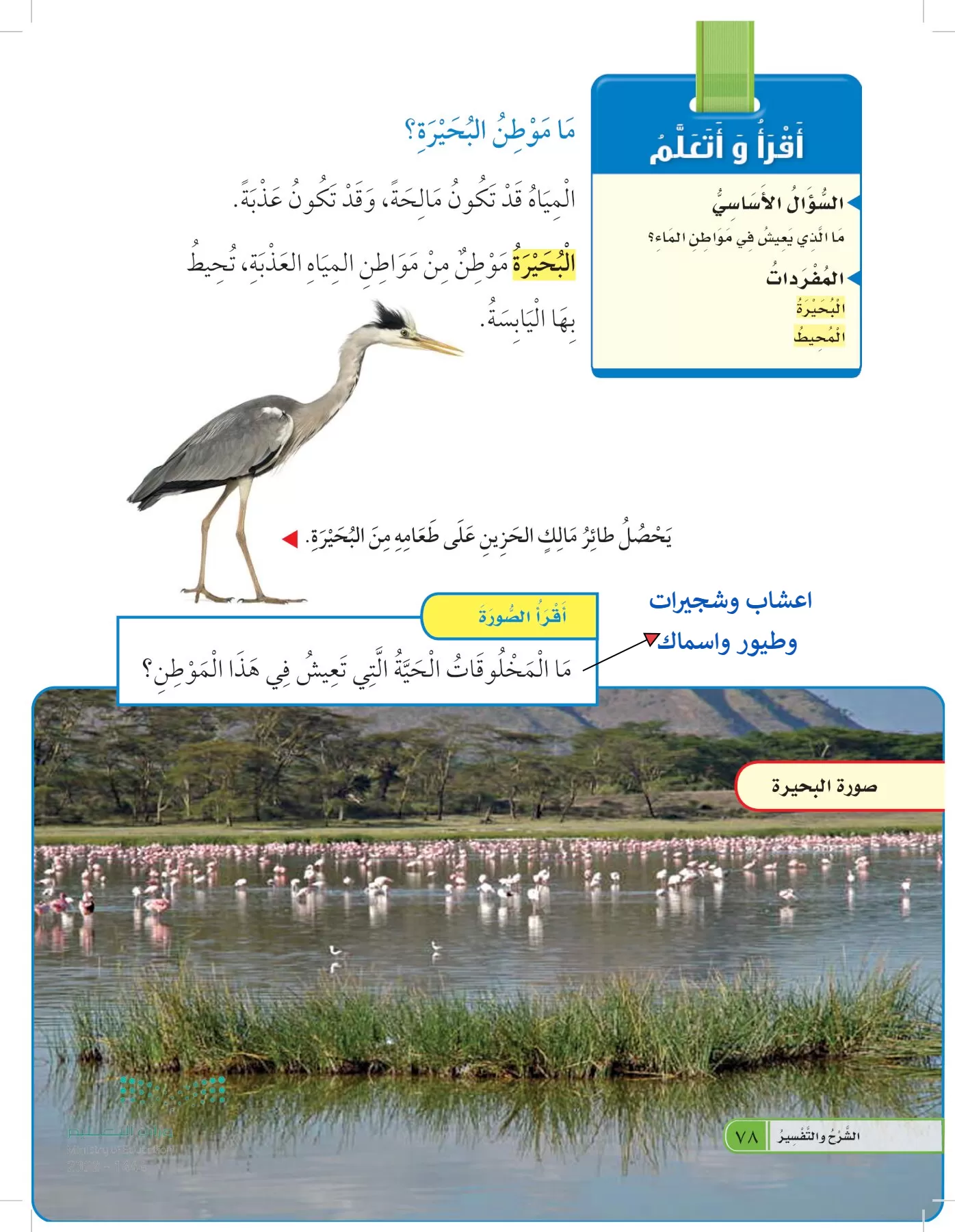 العلوم page-77