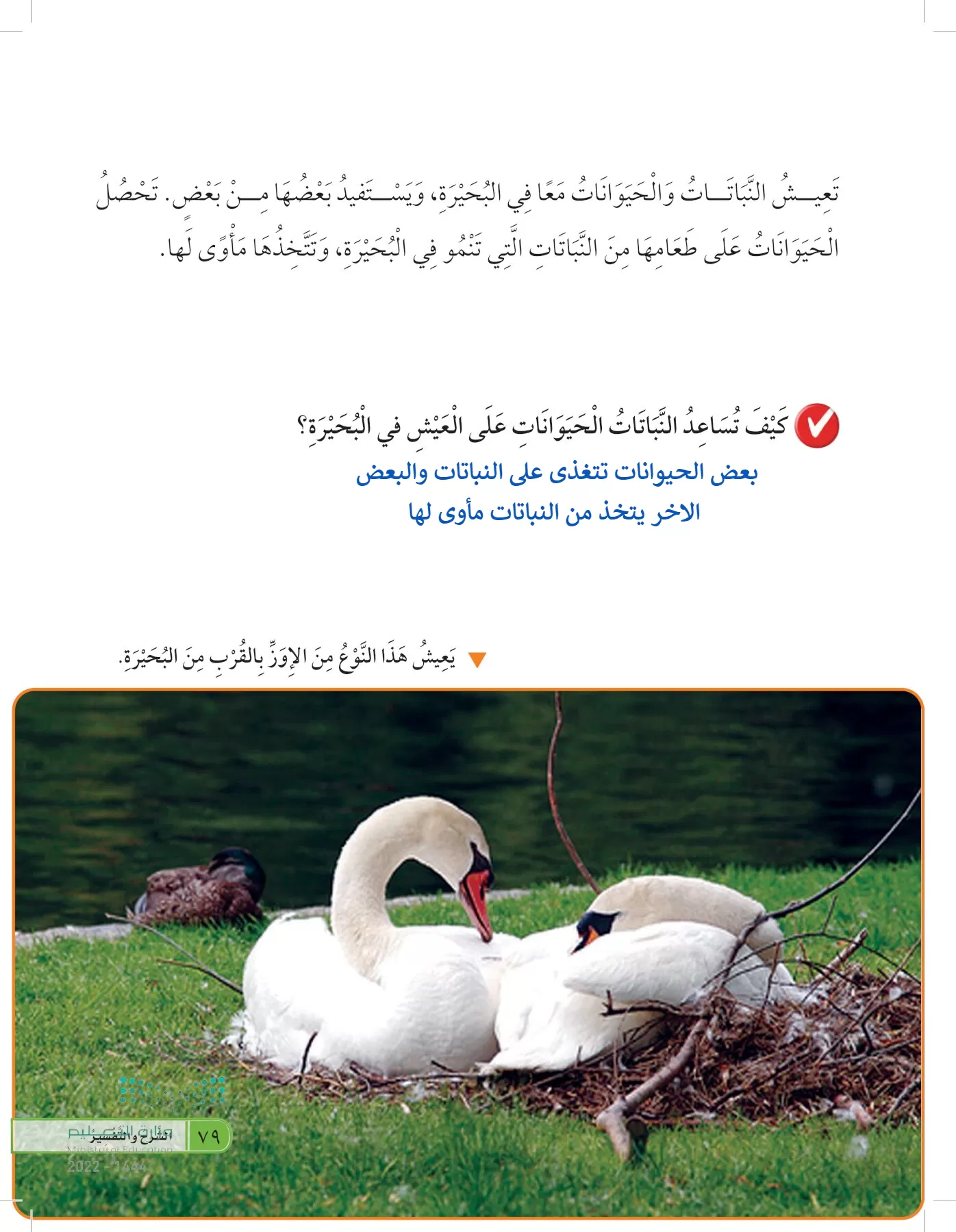 العلوم page-78