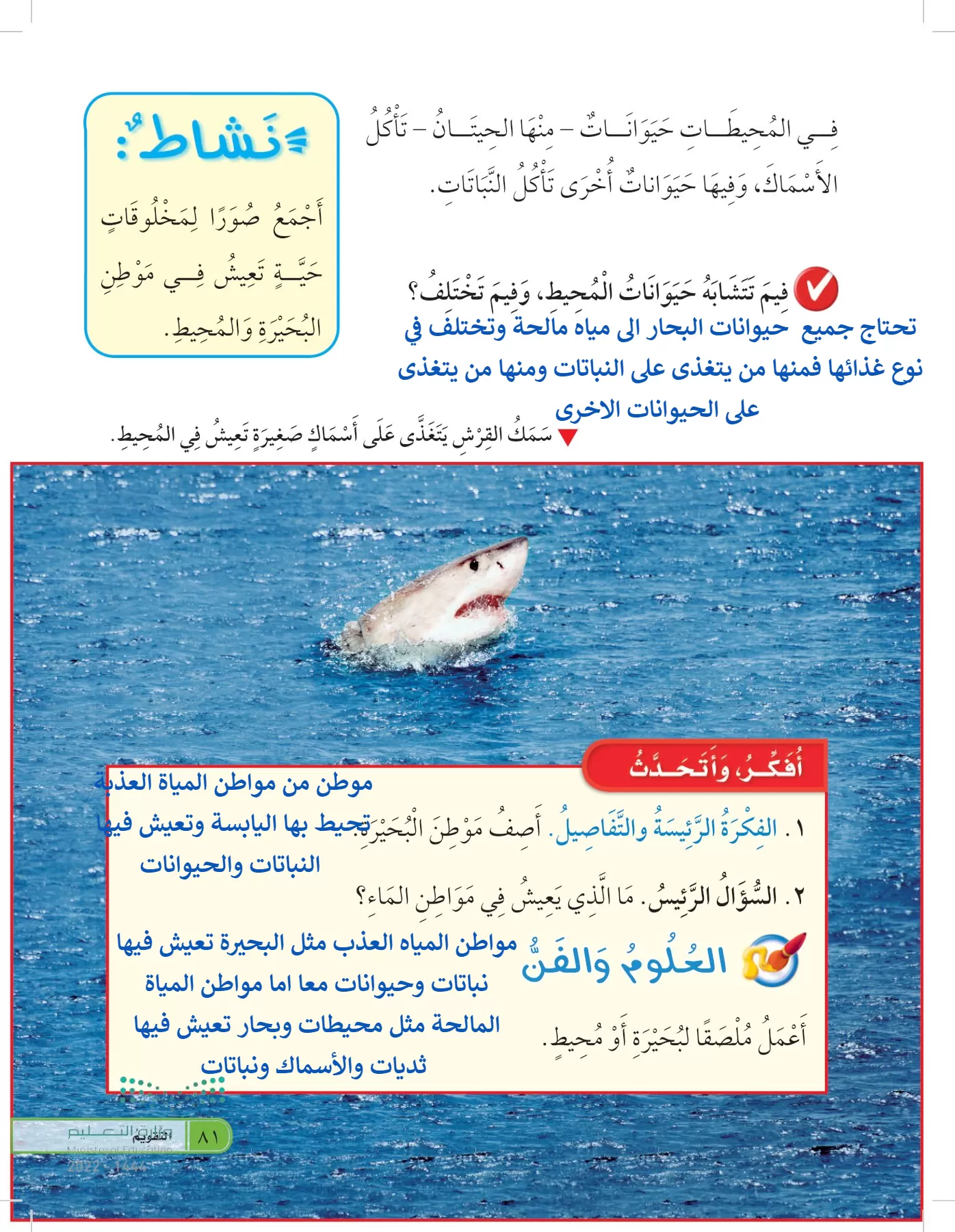 العلوم page-80