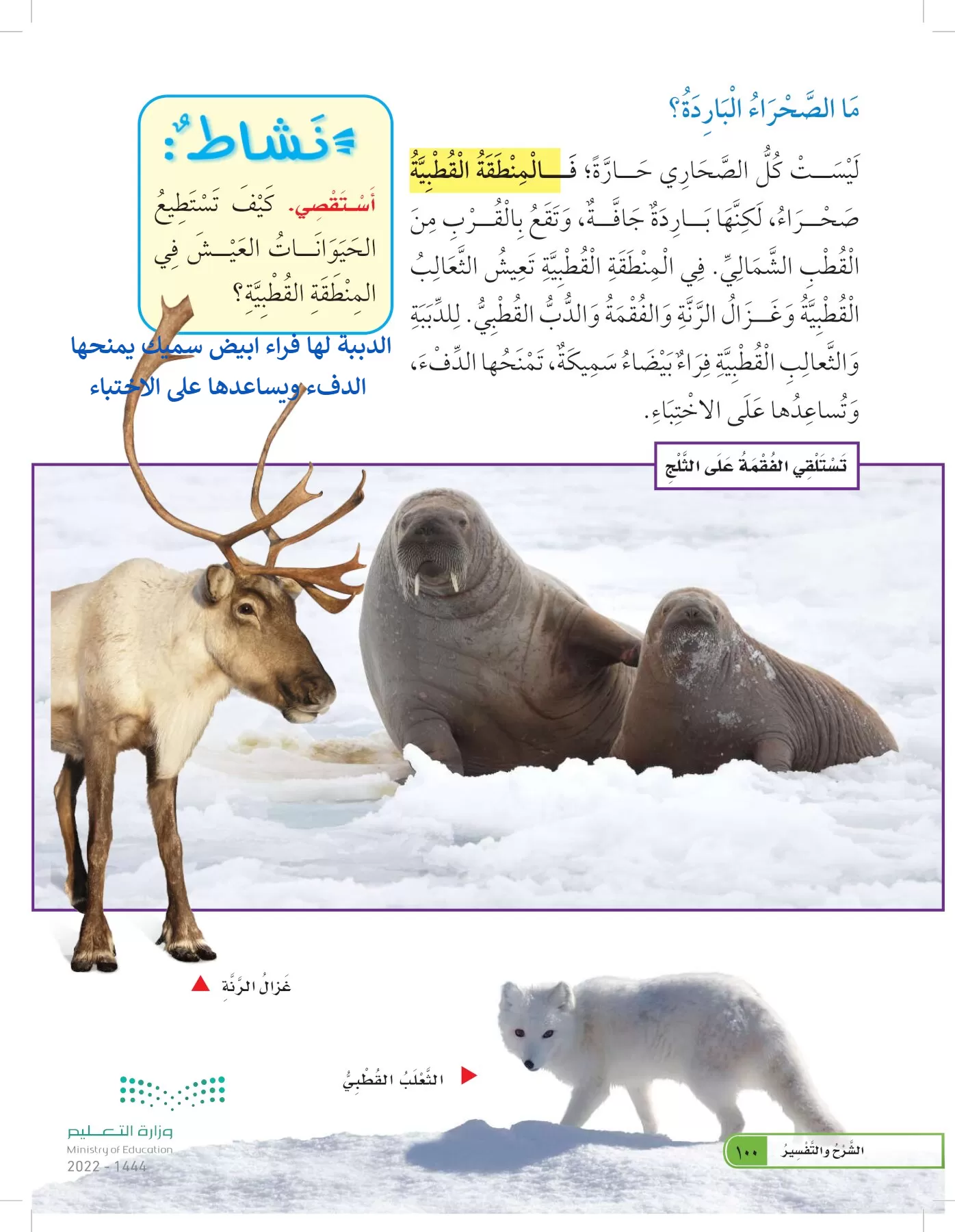 العلوم page-99