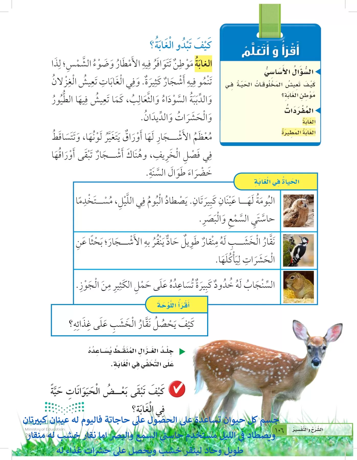 العلوم page-105