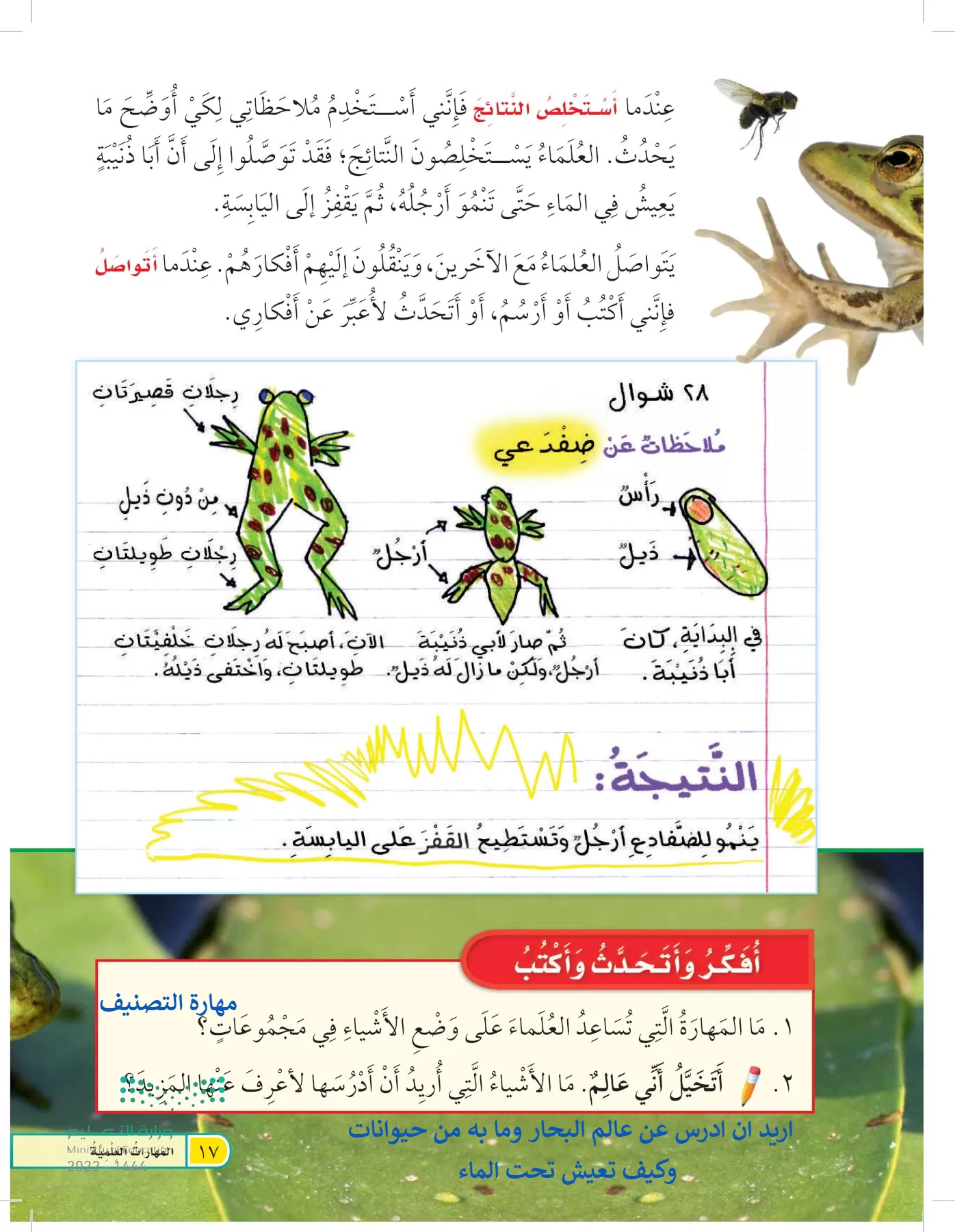 العلوم page-16