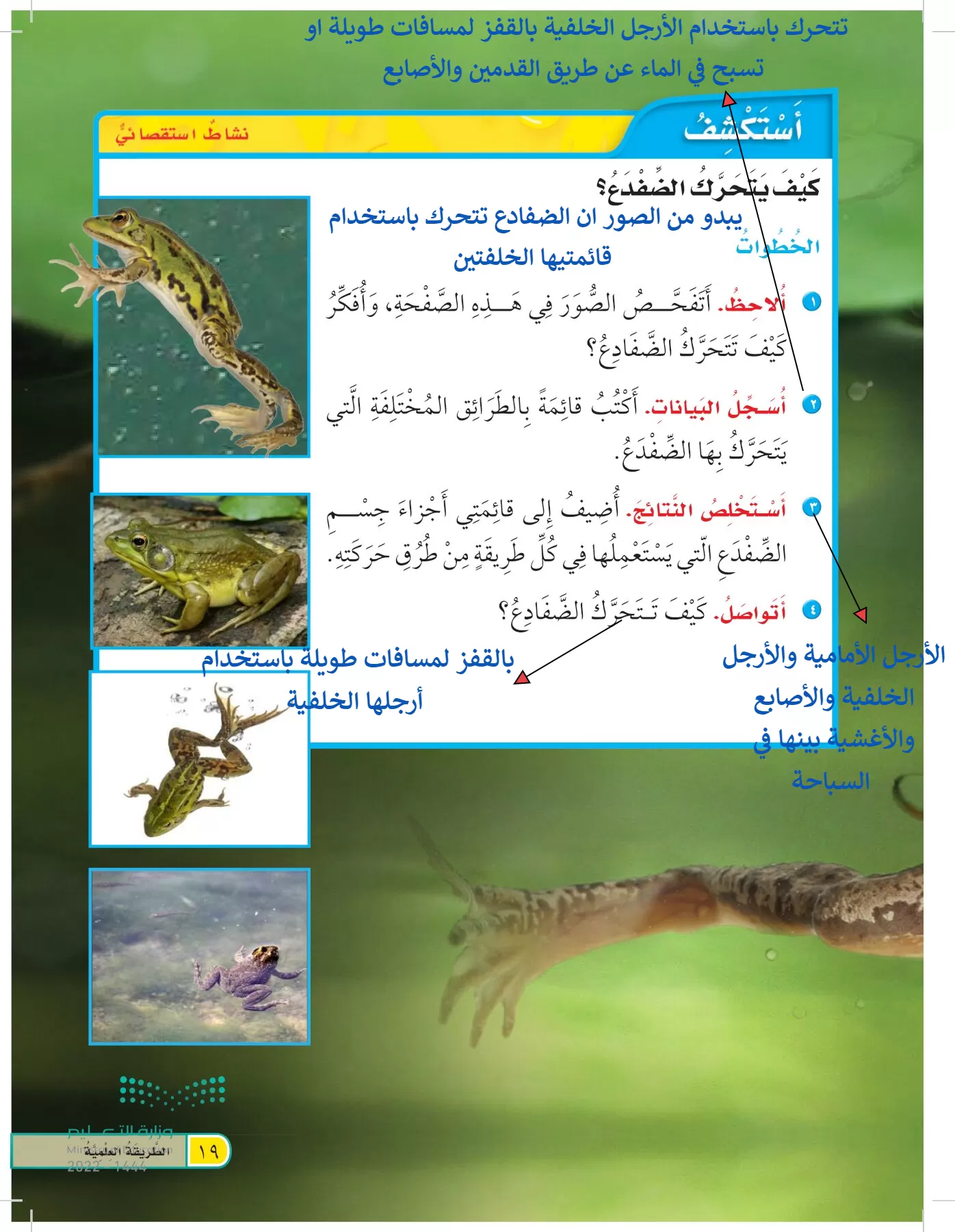 العلوم page-18